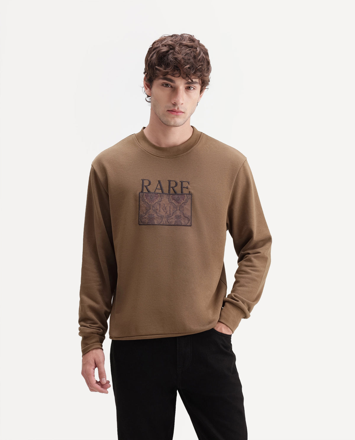 Rare Rabbit Men's Debz Dark Brown Cotton Blend Crew Neck Regular Embroidered Sweatshirt