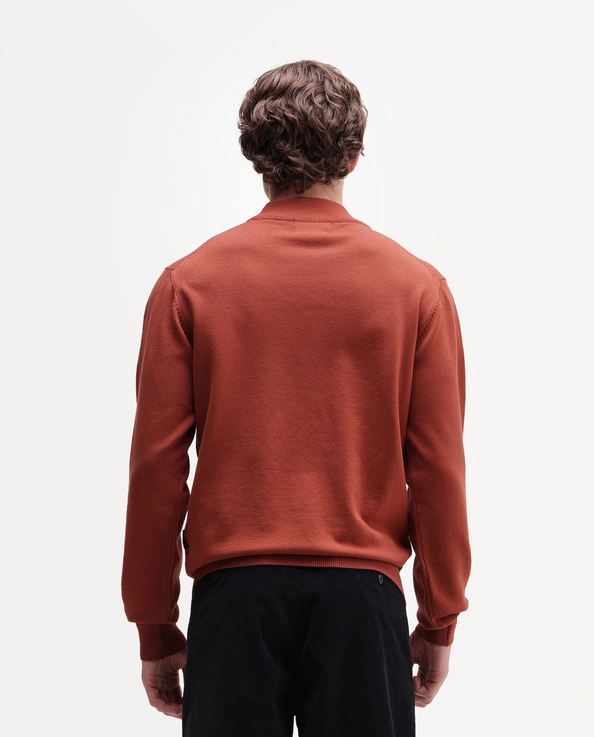 Rare Rabbit Men's Alvor Rust Viscose Blend Regular Fit Plain Sweater