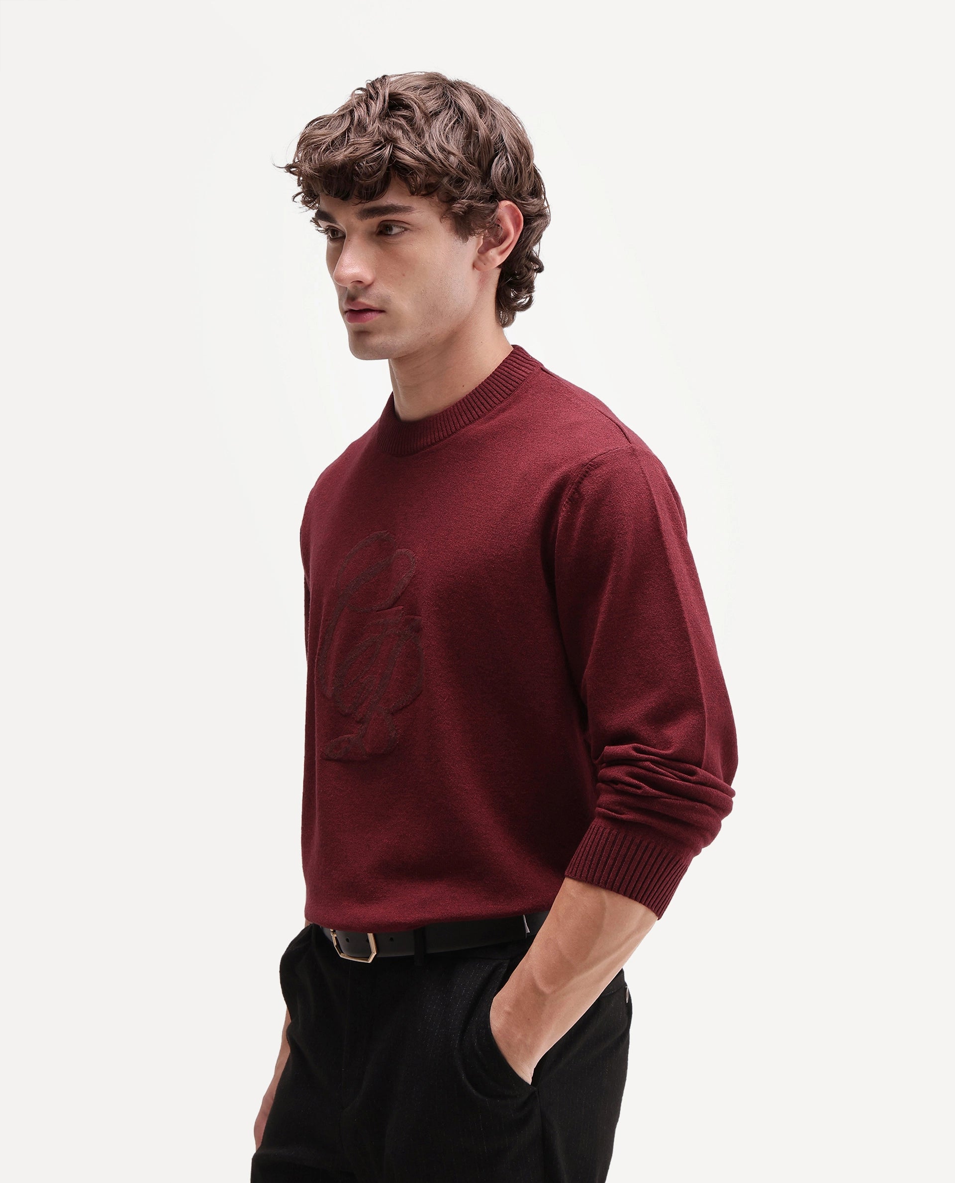 Rare Rabbit Men's Gron-A26 Red Viscose Blend Regular Fit Viscose Blend Jacquard Sweater