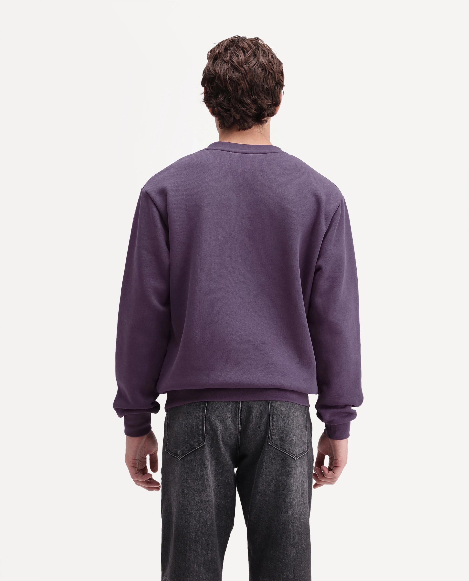 Rare Rabbit Men's Wazi Dusky Purple Cotton Blend Crew Neck Regular Embroidered Sweatshirt