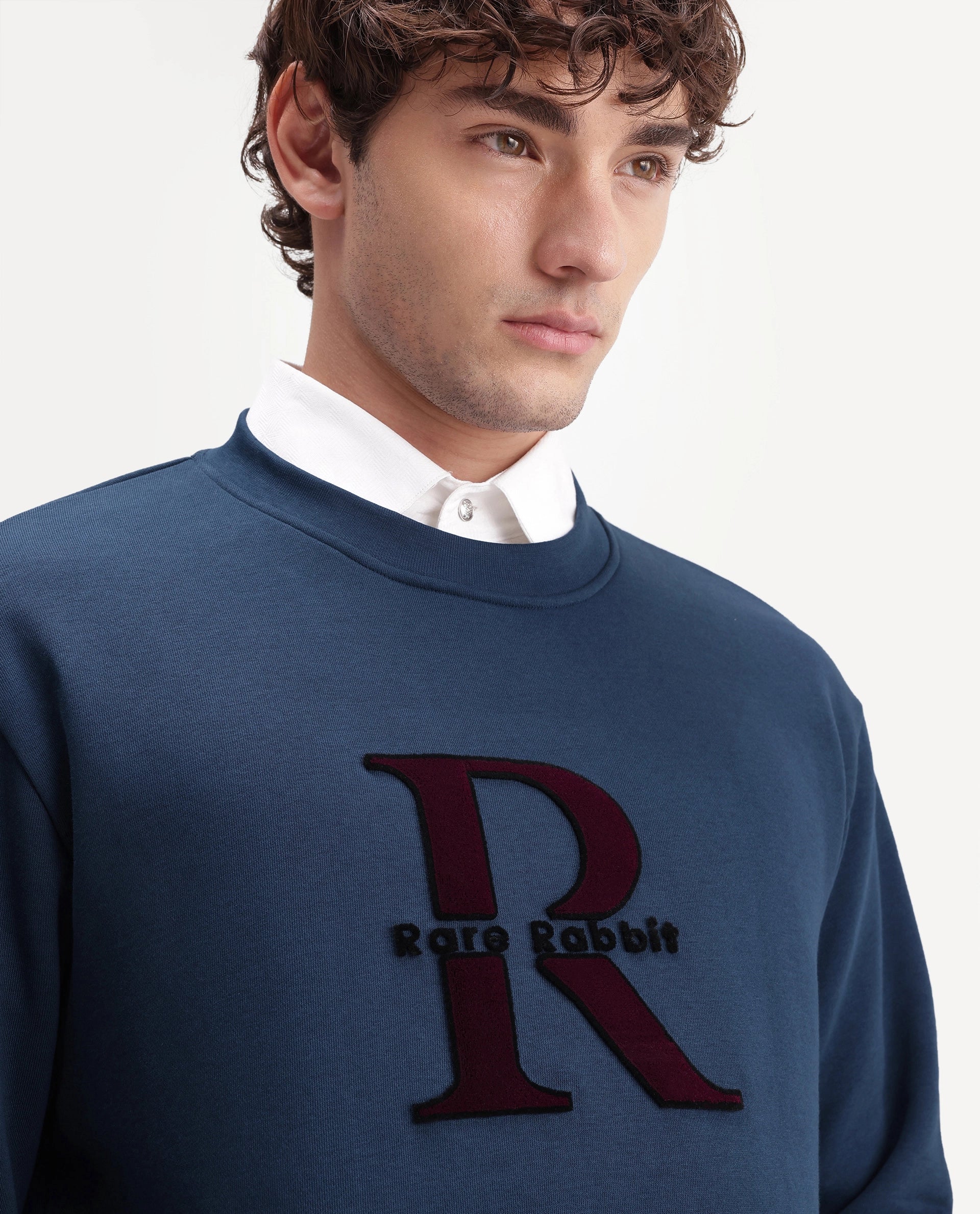 Rare Rabbit Men's Wazi Dark Blue Cotton Blend Crew Neck Regular Embroidered Sweatshirt
