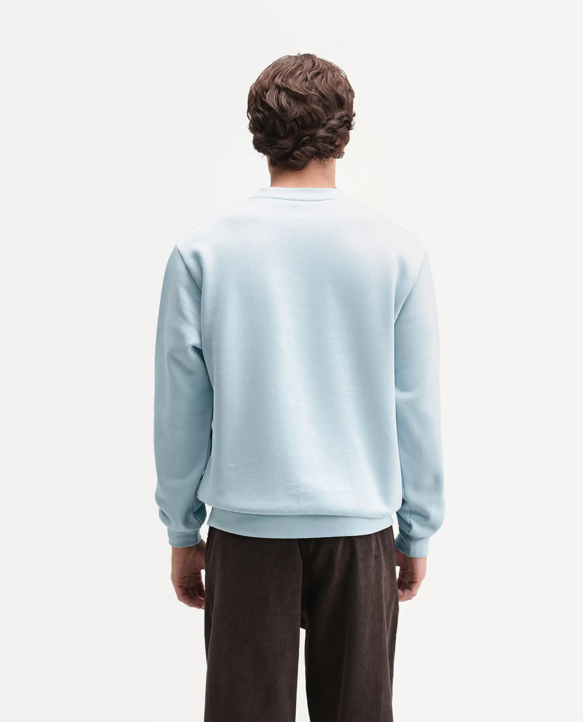 Rare Rabbit Men's Wazi Light Blue Cotton Blend Crew Neck Regular Embroidered Sweatshirt