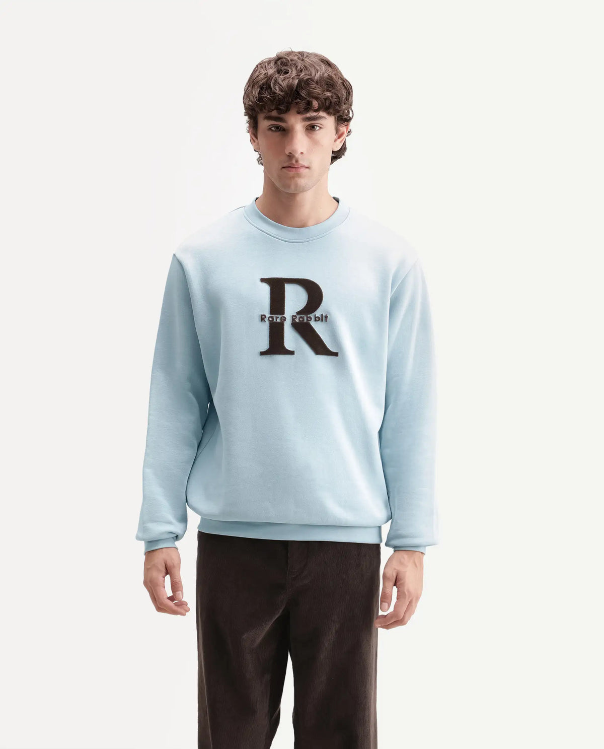 Rare Rabbit Men's Wazi Light Blue Cotton Blend Crew Neck Regular Embroidered Sweatshirt