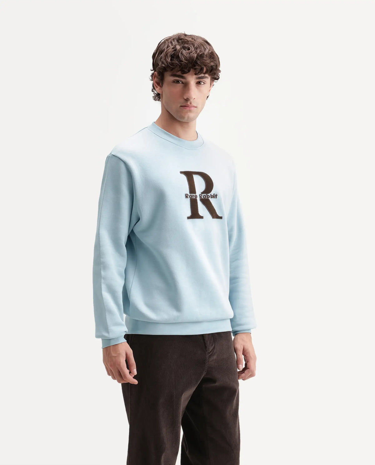Rare Rabbit Men's Wazi Light Blue Cotton Blend Crew Neck Regular Embroidered Sweatshirt