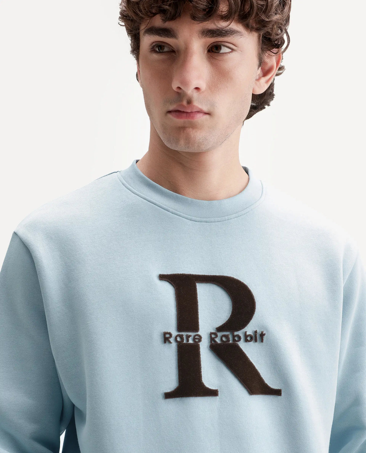 Rare Rabbit Men's Wazi Light Blue Cotton Blend Crew Neck Regular Embroidered Sweatshirt