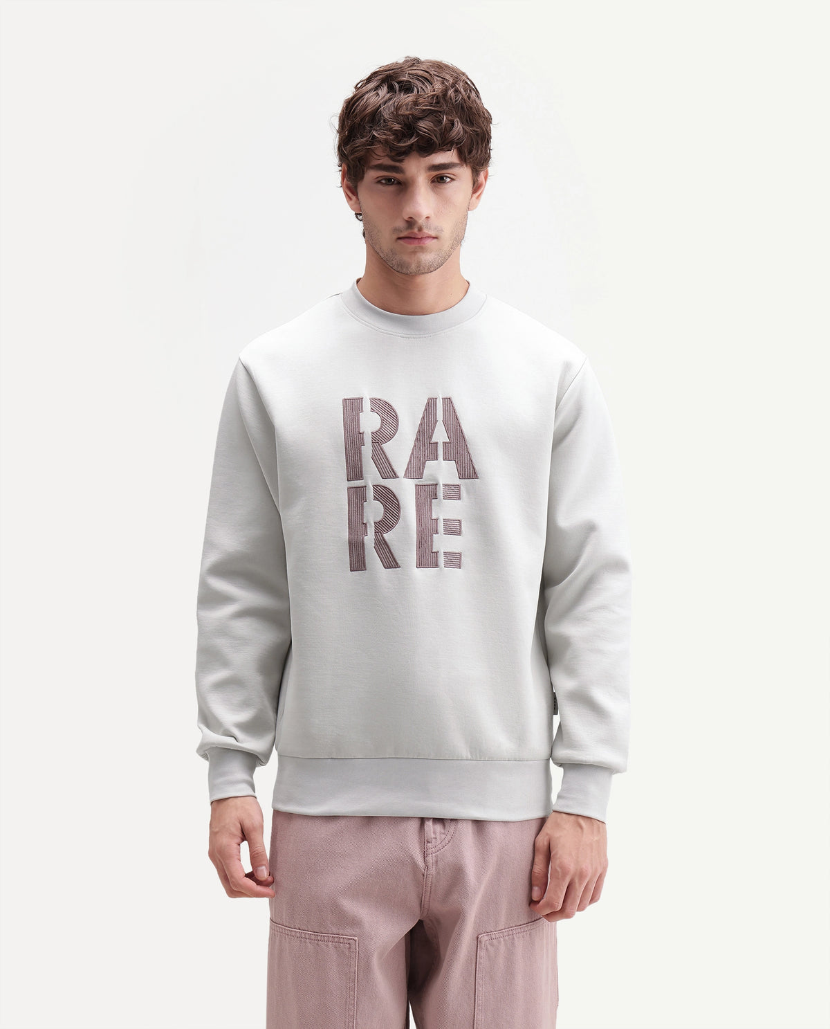 Rare Rabbit Men's Bazo Dusky Grey Cotton Blend Crew Neck Regular Embroidered Sweatshirt
