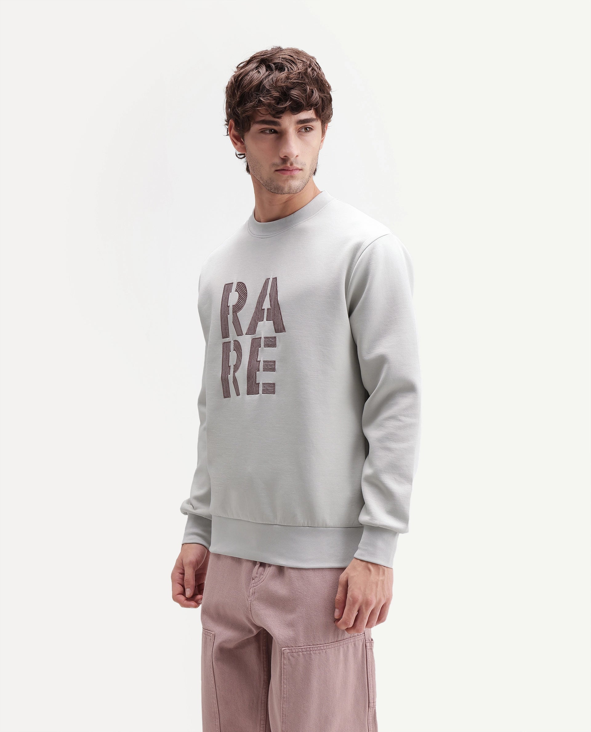 Rare Rabbit Men's Bazo Dusky Grey Cotton Blend Crew Neck Regular Embroidered Sweatshirt