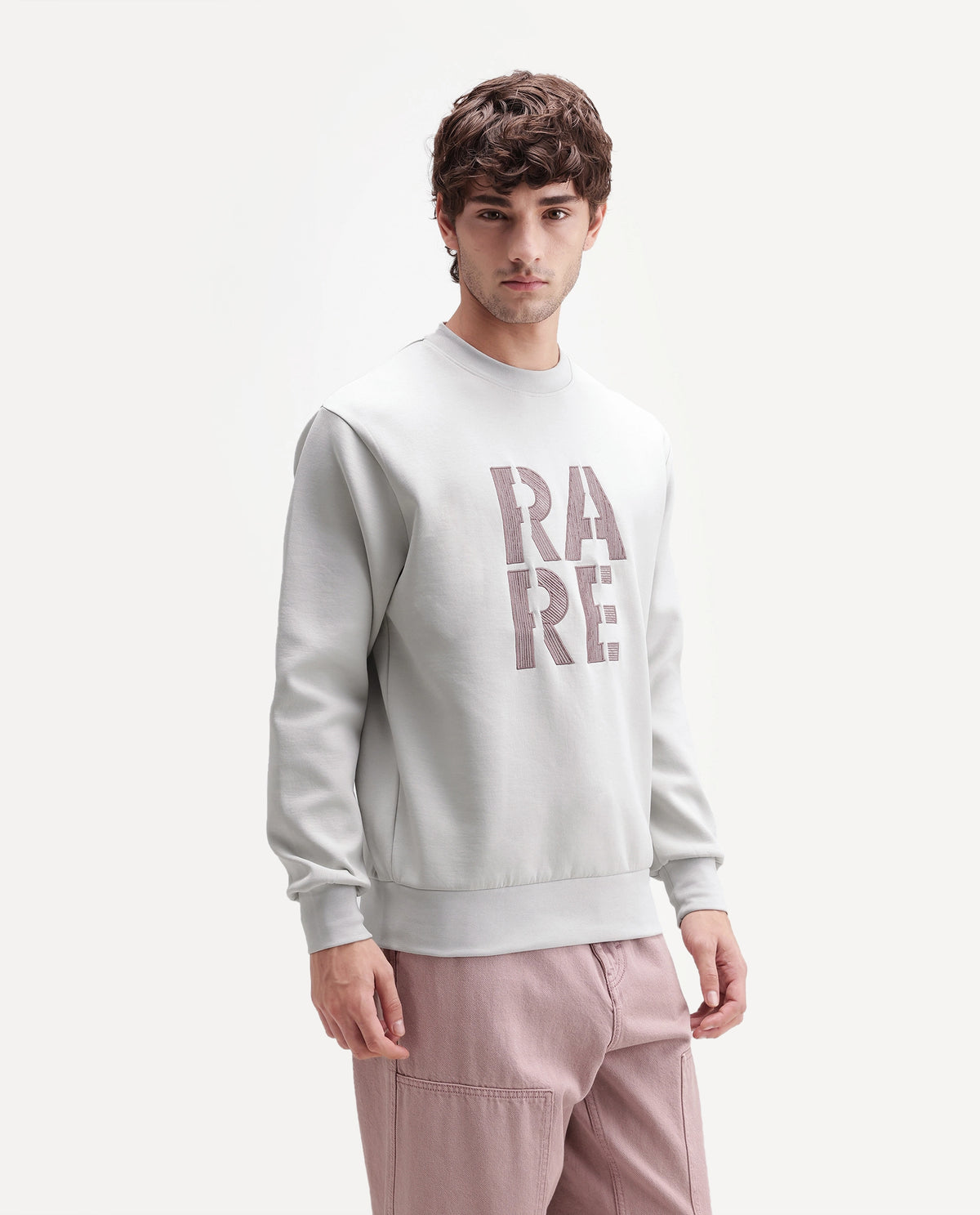 Rare Rabbit Men's Bazo Dusky Grey Cotton Blend Crew Neck Regular Embroidered Sweatshirt