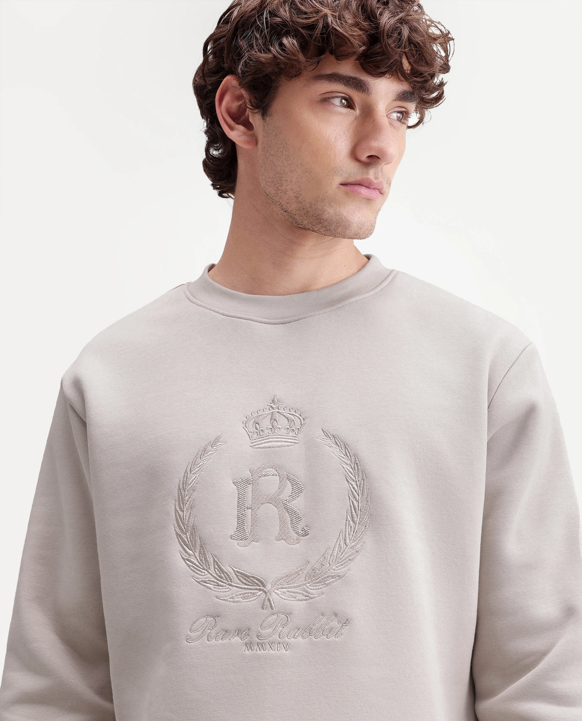 Rare Rabbit Men's Break Primary Beige Cotton Blend Crew Neck Regular Embroidered Sweatshirt