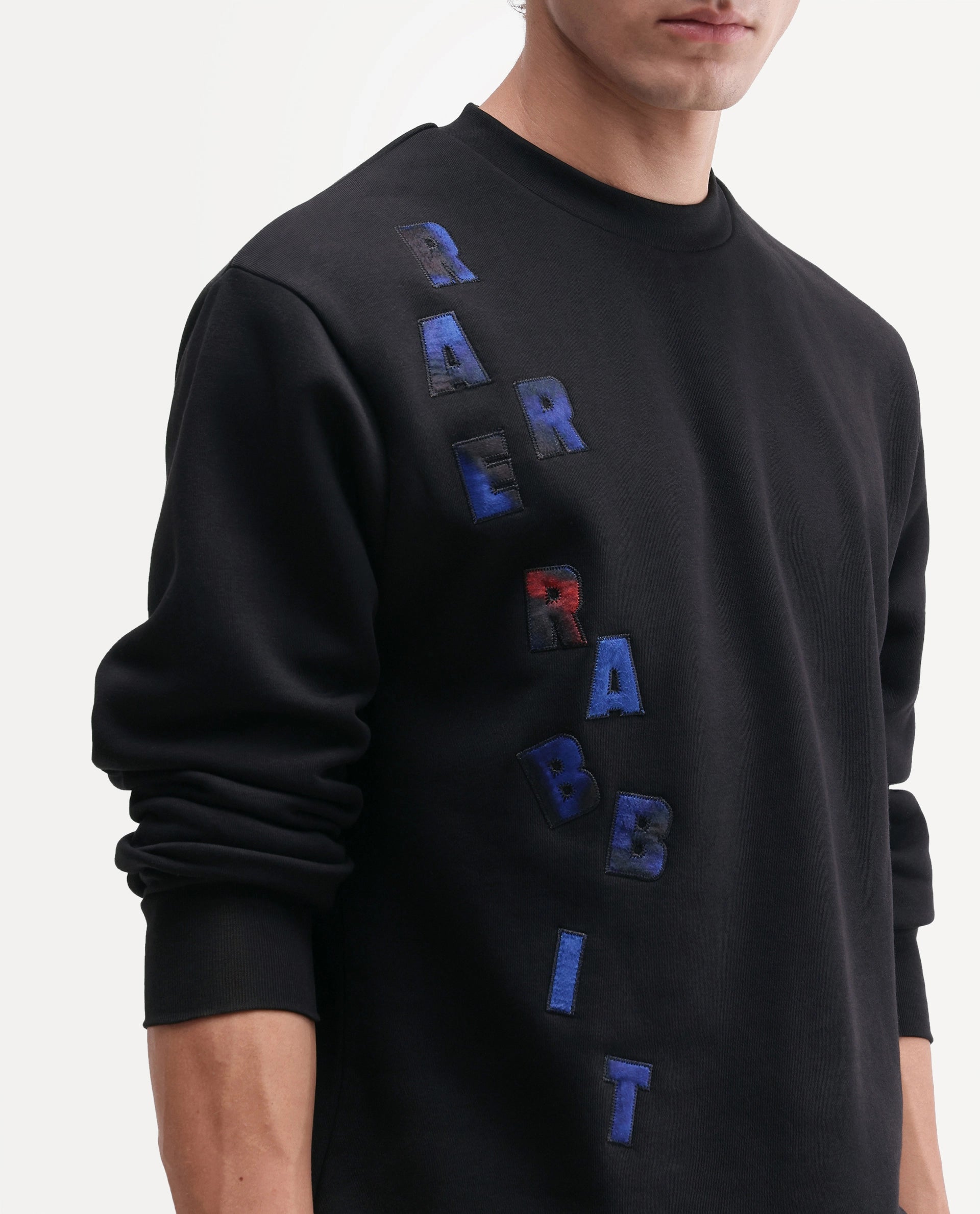 Rare Rabbit Men's Ideo Primary Black Cotton Blend Crew Neck Regular Graphic Print Sweatshirt