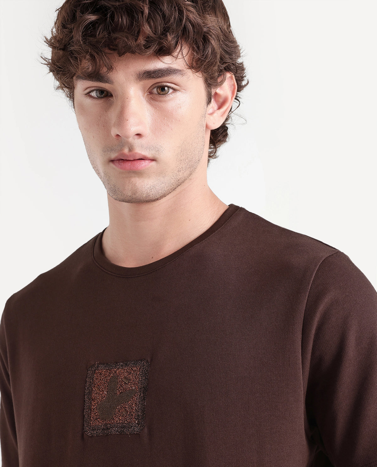 Rare Rabbit Men's Wood Dark Brown Cotton Crew Neck Regular Embroidered T-Shirt