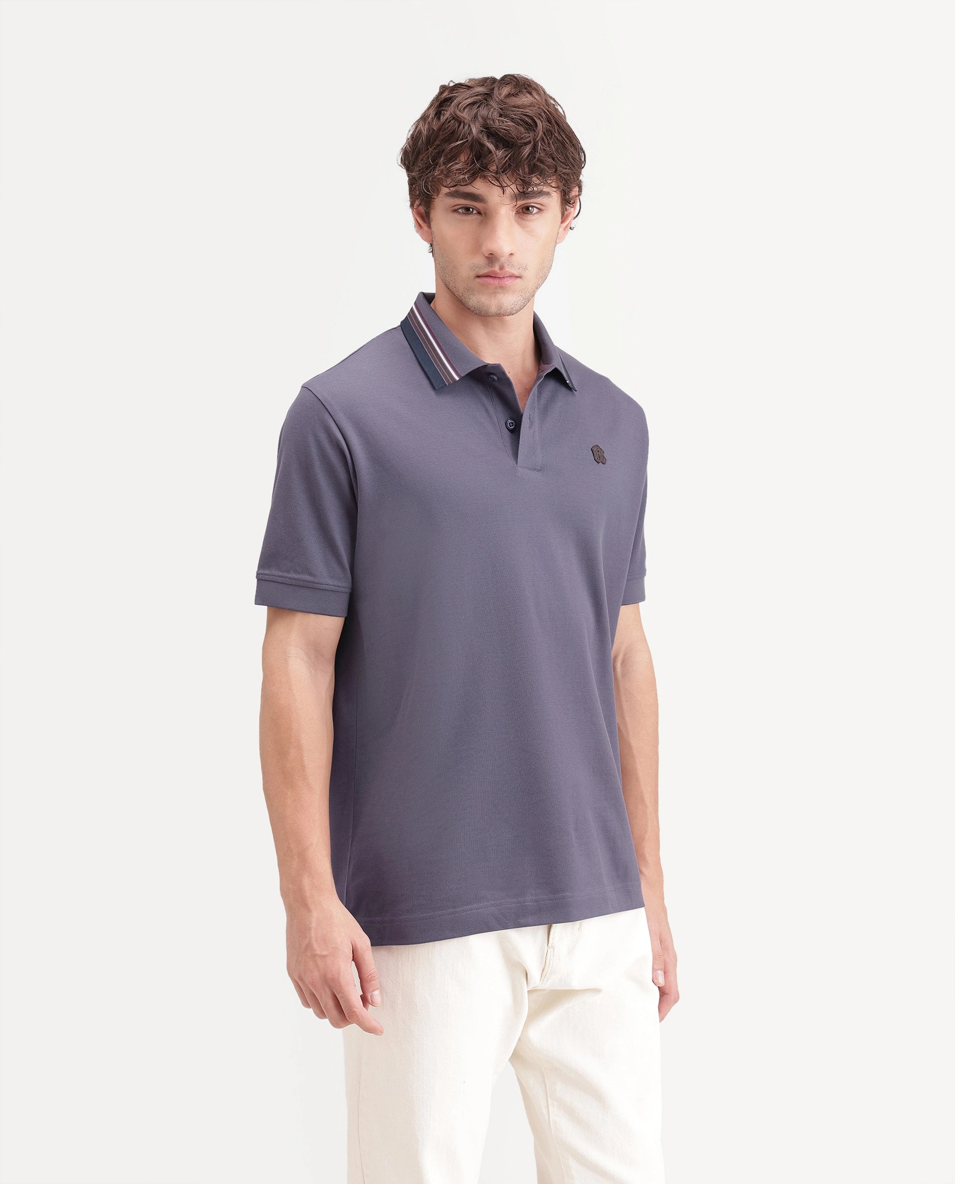 Rare Rabbit Men's Andre Dark Purple Cotton Spread Collar Regular Badge Applique Polo