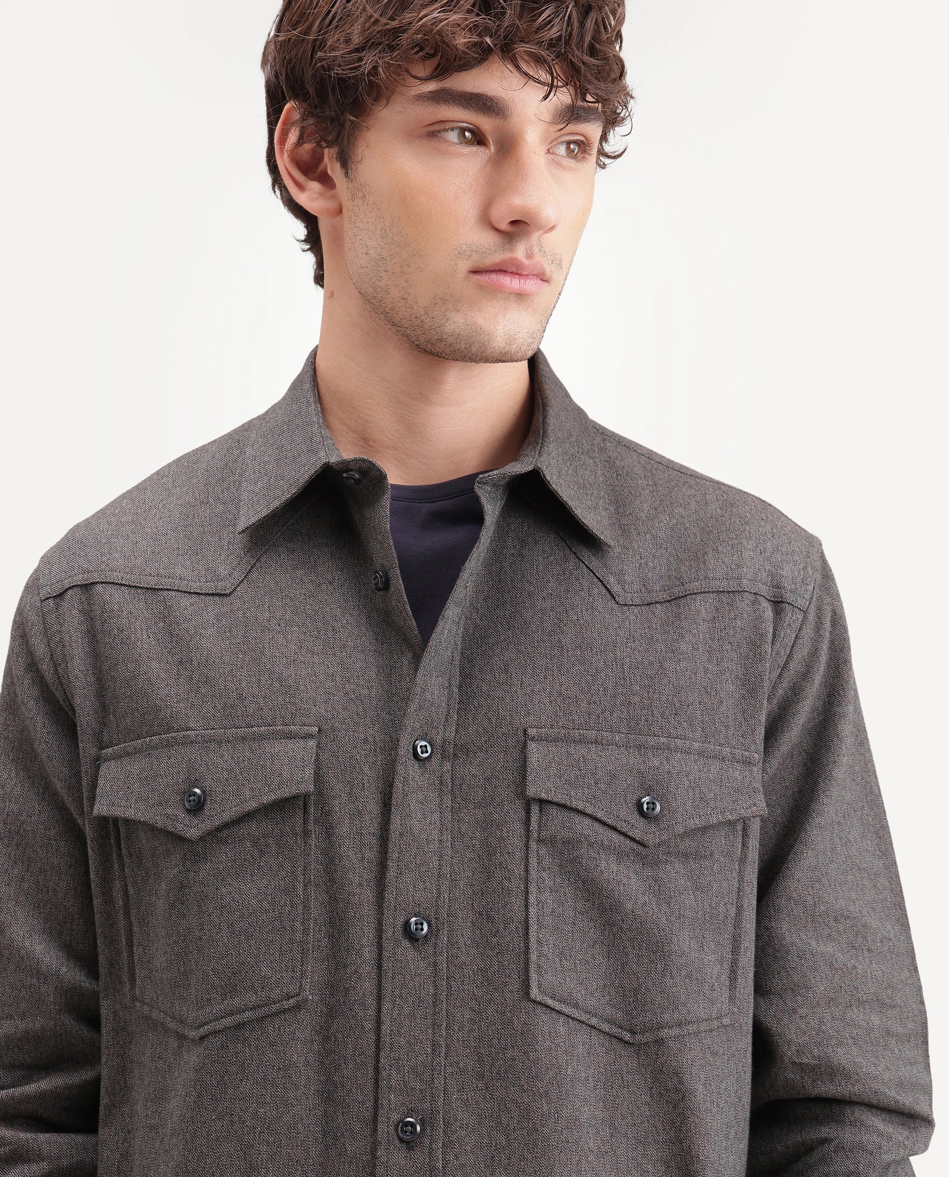 Rare Rabbit Men's Plum Green Cotton Spread Collar Regular Plain Shirt