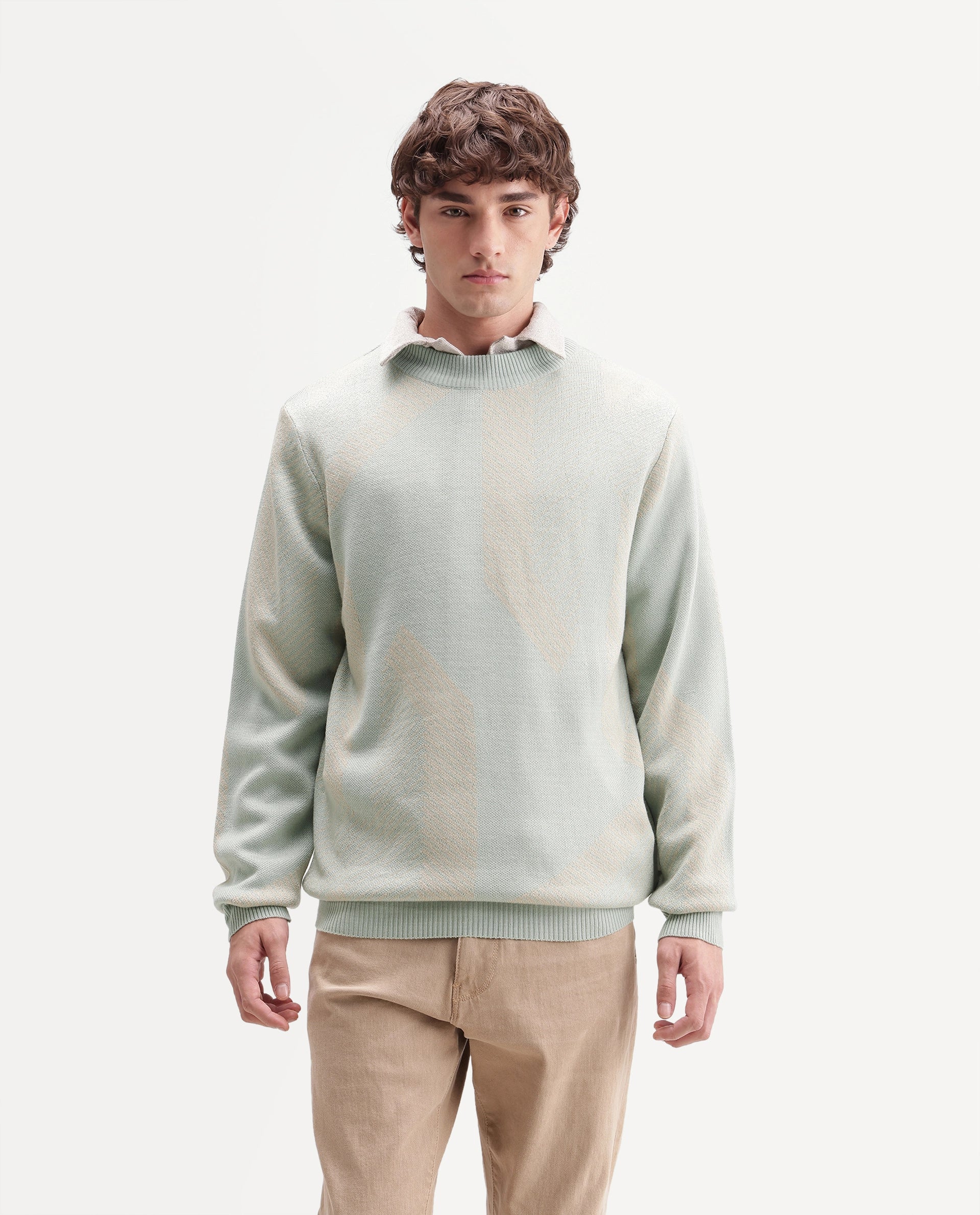 Rare Rabbit Men's Vent Light Green Acrylic Crew Neck Regular Fit Jacquard Sweater