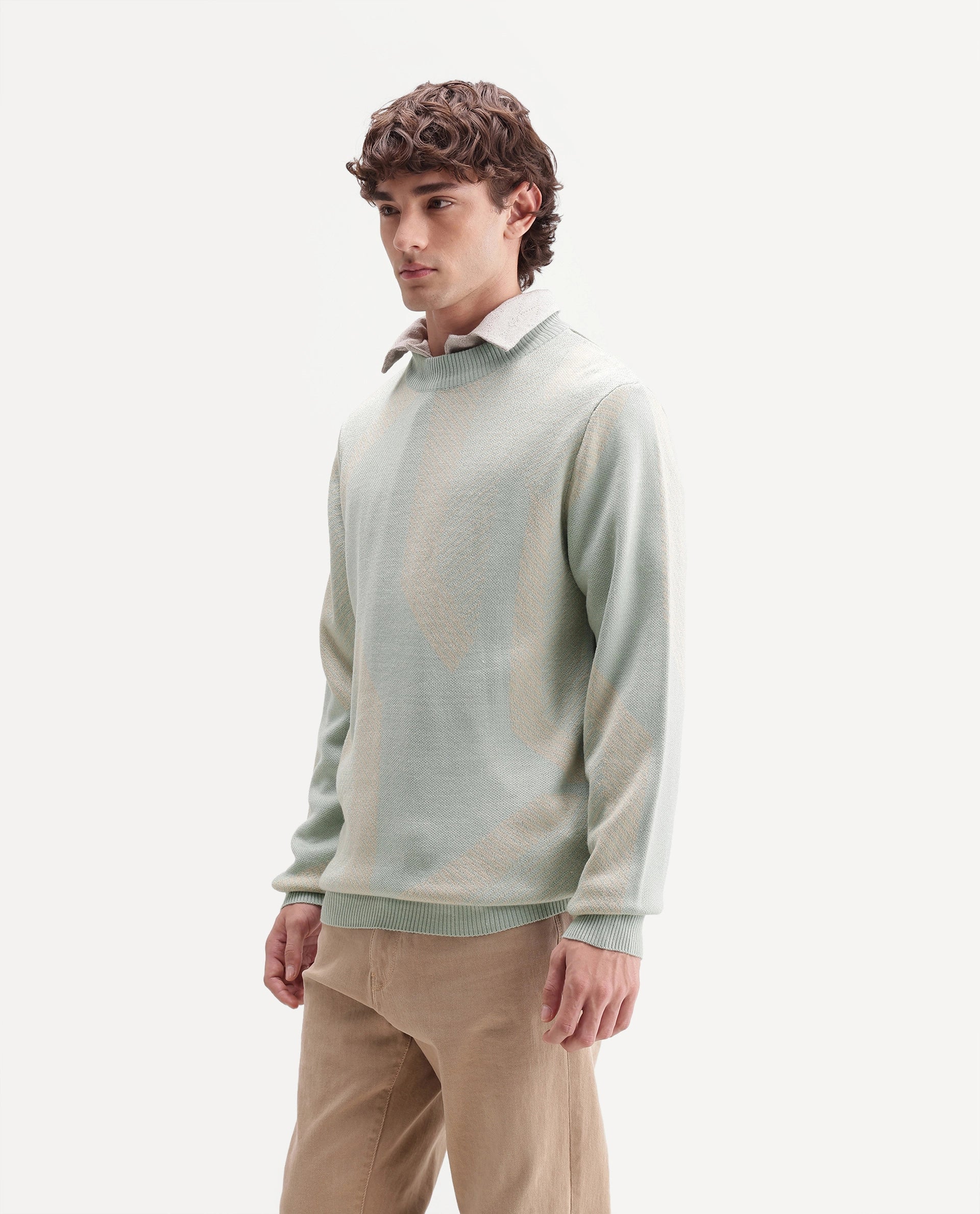 Rare Rabbit Men's Vent Light Green Acrylic Crew Neck Regular Fit Jacquard Sweater