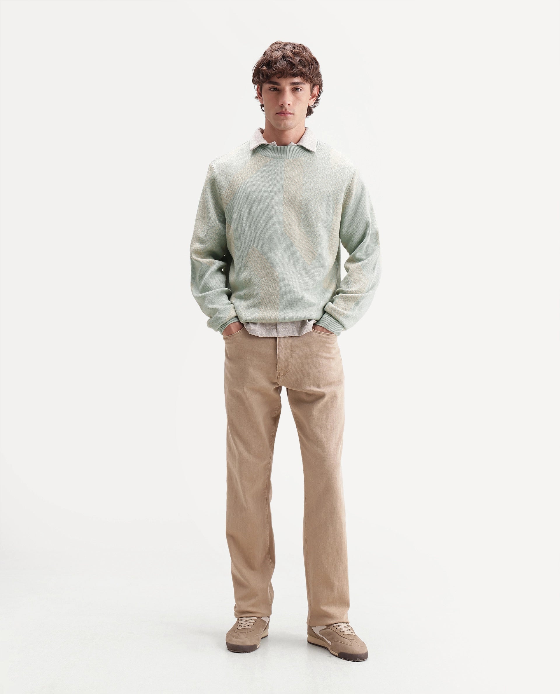 Rare Rabbit Men's Vent Light Green Acrylic Crew Neck Regular Fit Jacquard Sweater