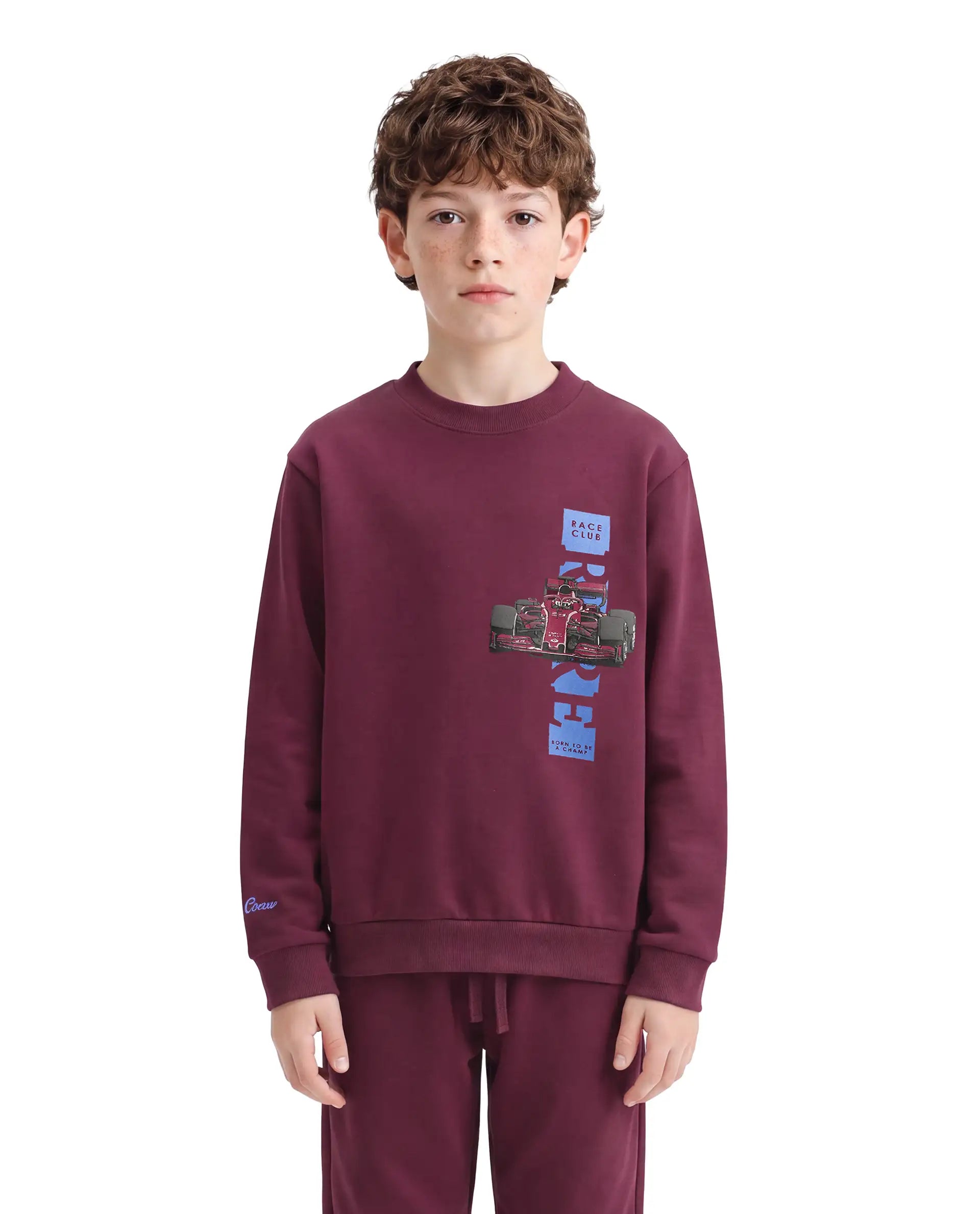 Rare Ones Kids Sohi Maroon Cotton Blend Fabric Crew Neck Pull-On Closure Regular Fit Flock Print Sweatshirt