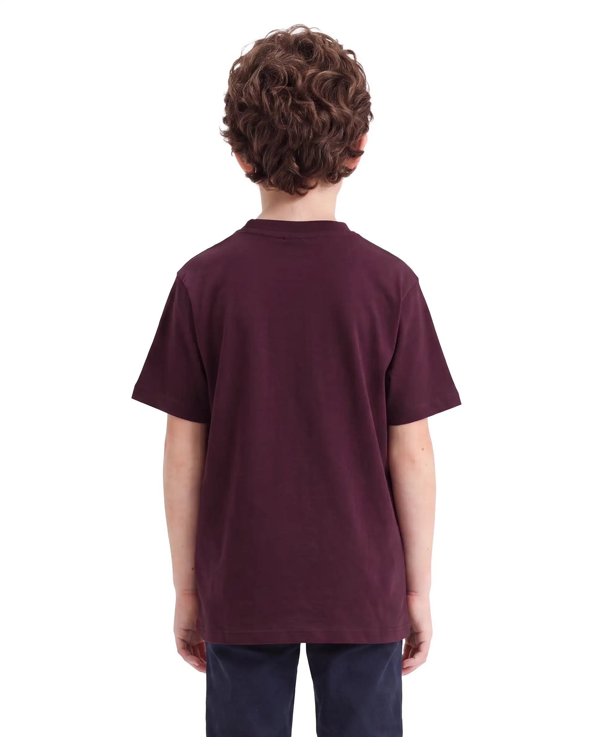 Rare Ones Kids Rovis Dark Maroon Cotton Blend Fabric Pull-On Regular Fit Hd Print T-Shirt