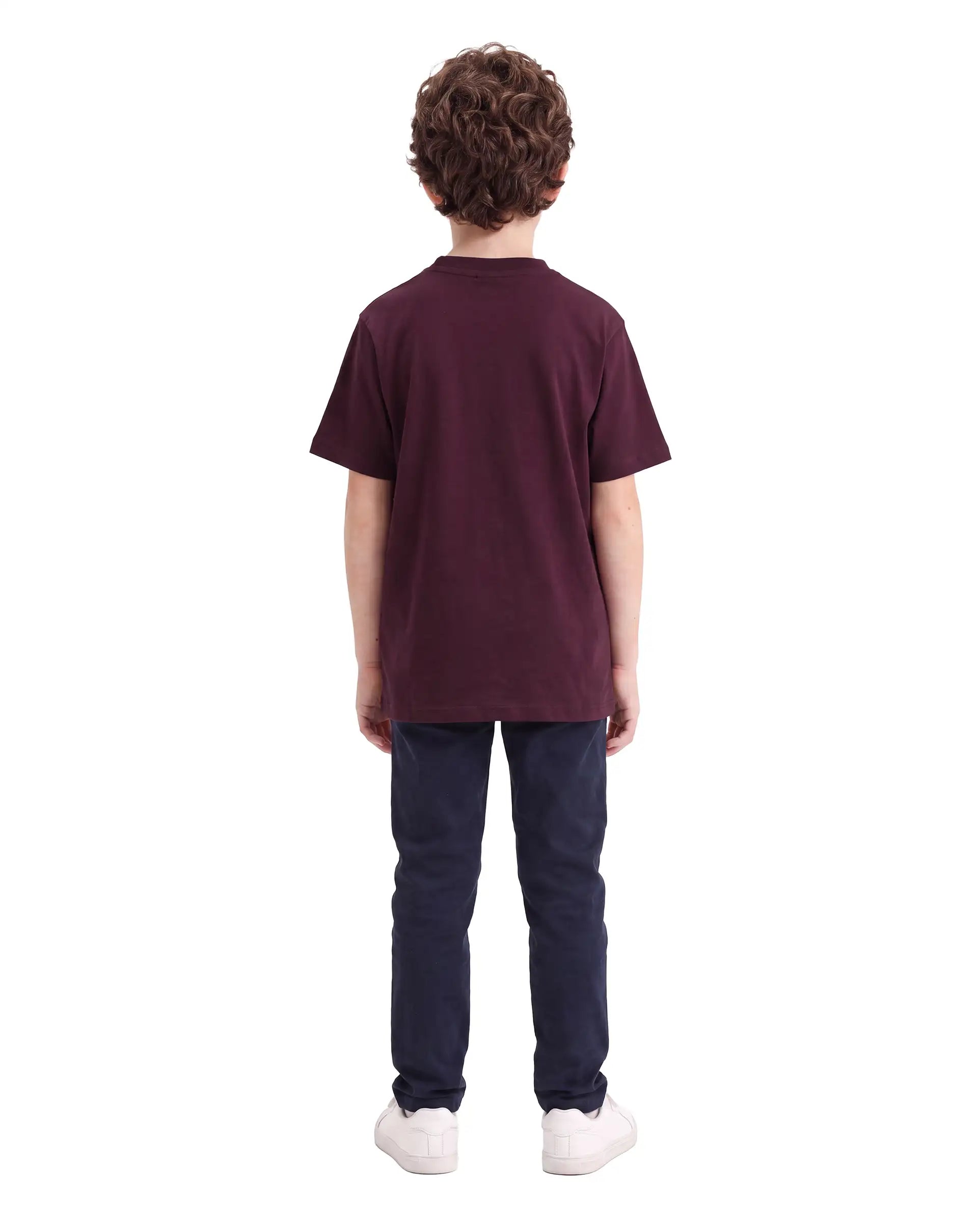 Rare Ones Kids Rovis Dark Maroon Cotton Blend Fabric Pull-On Regular Fit Hd Print T-Shirt