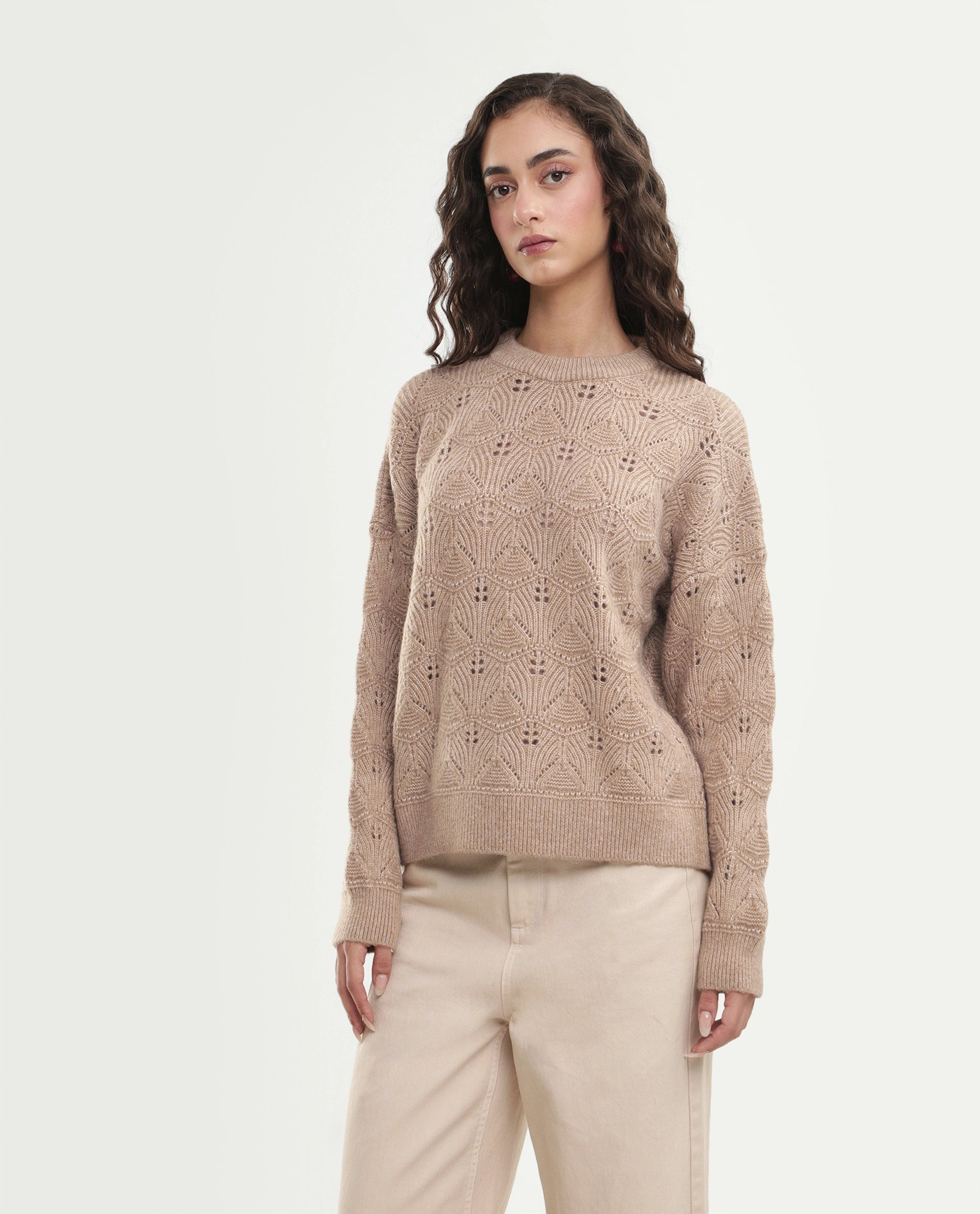 Rareism Women's Lan-Rsm Dark Beige Acrylic Blend Pull-On Relaxed Fit Sweater
