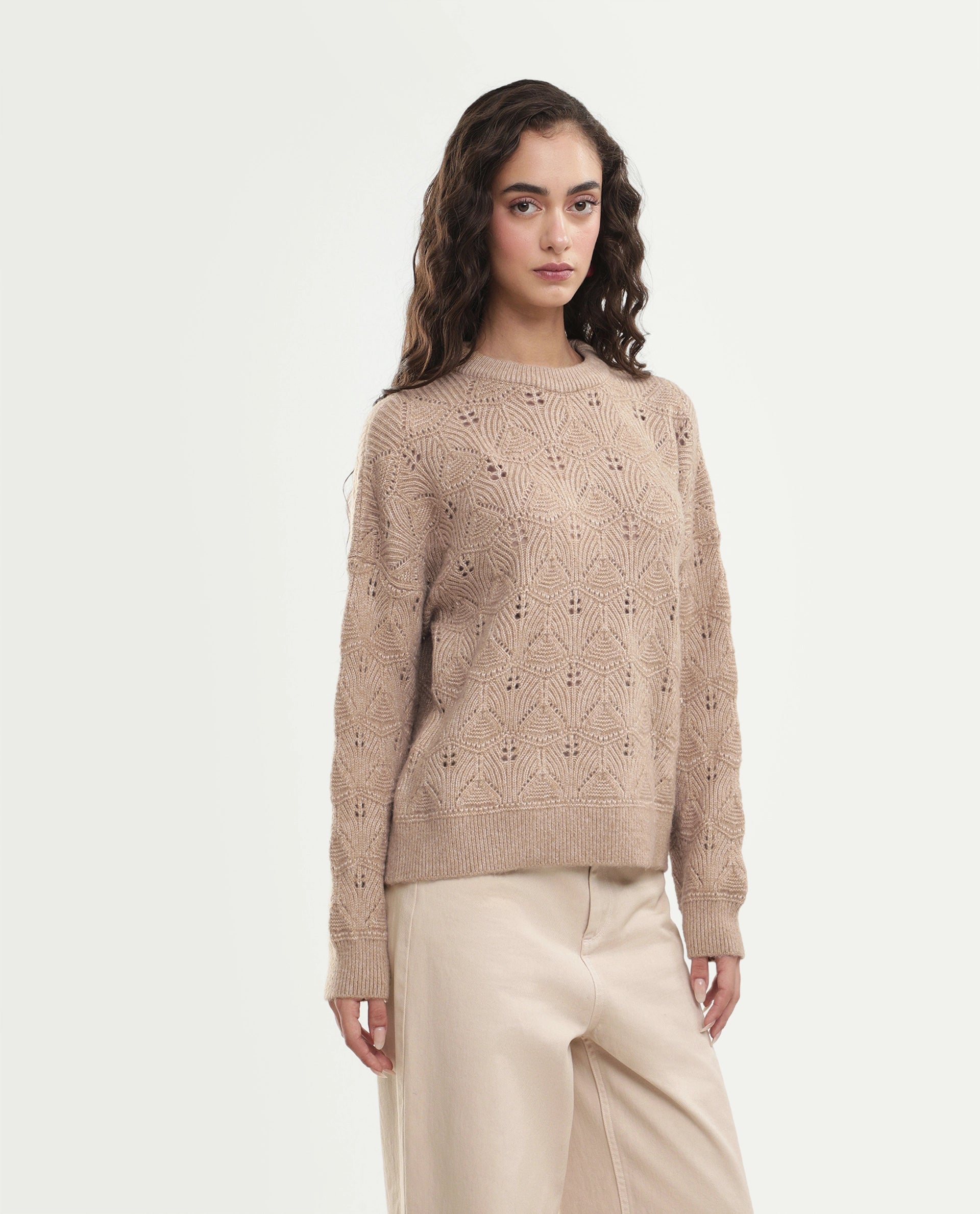 Rareism Women's Lan-Rsm Dark Beige Acrylic Blend Pull-On Relaxed Fit Sweater