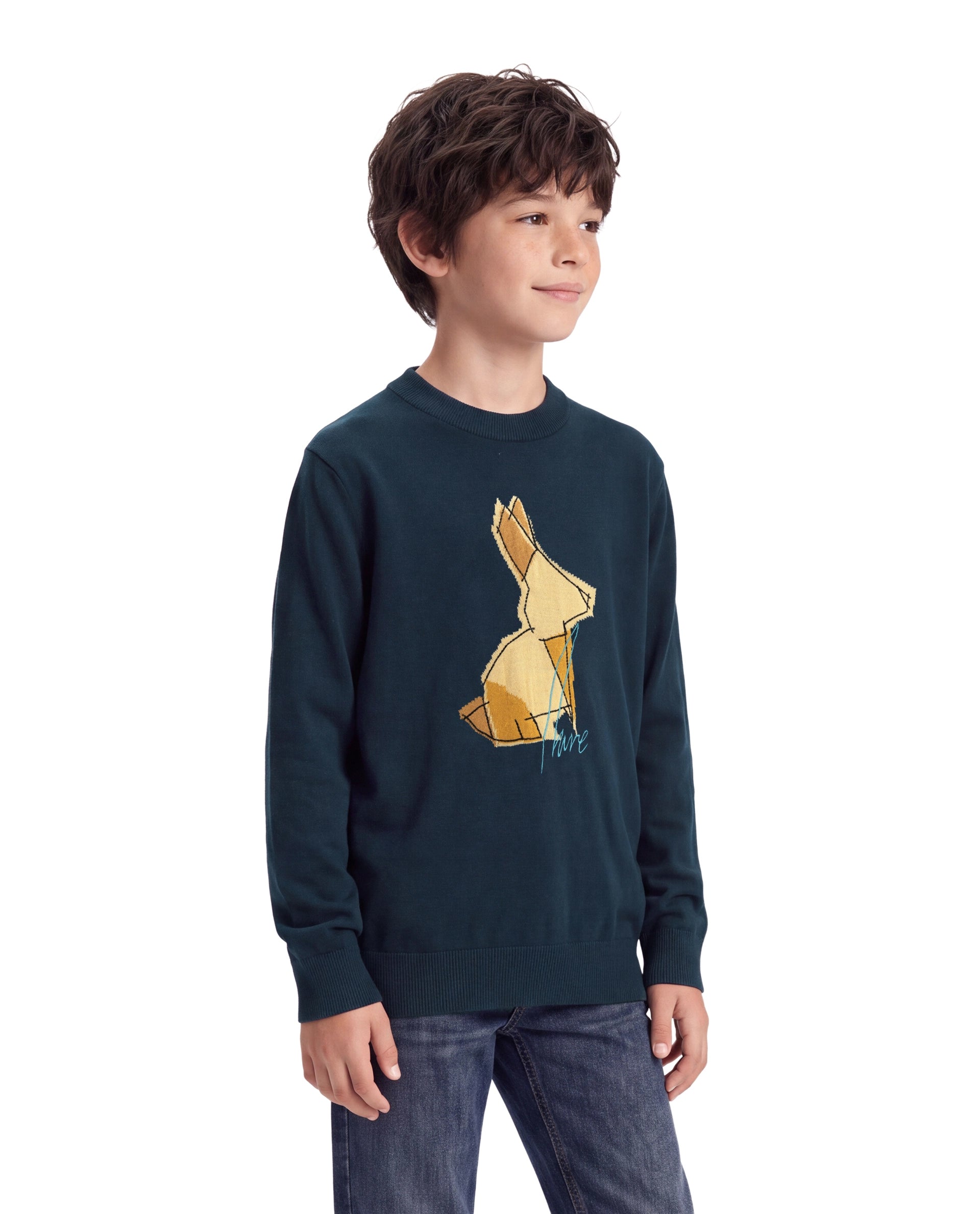Rare Ones Kids Mipo-26 Navy Acrylic Fabric Pull-On Closure Regular Fit Graphic Print Sweater