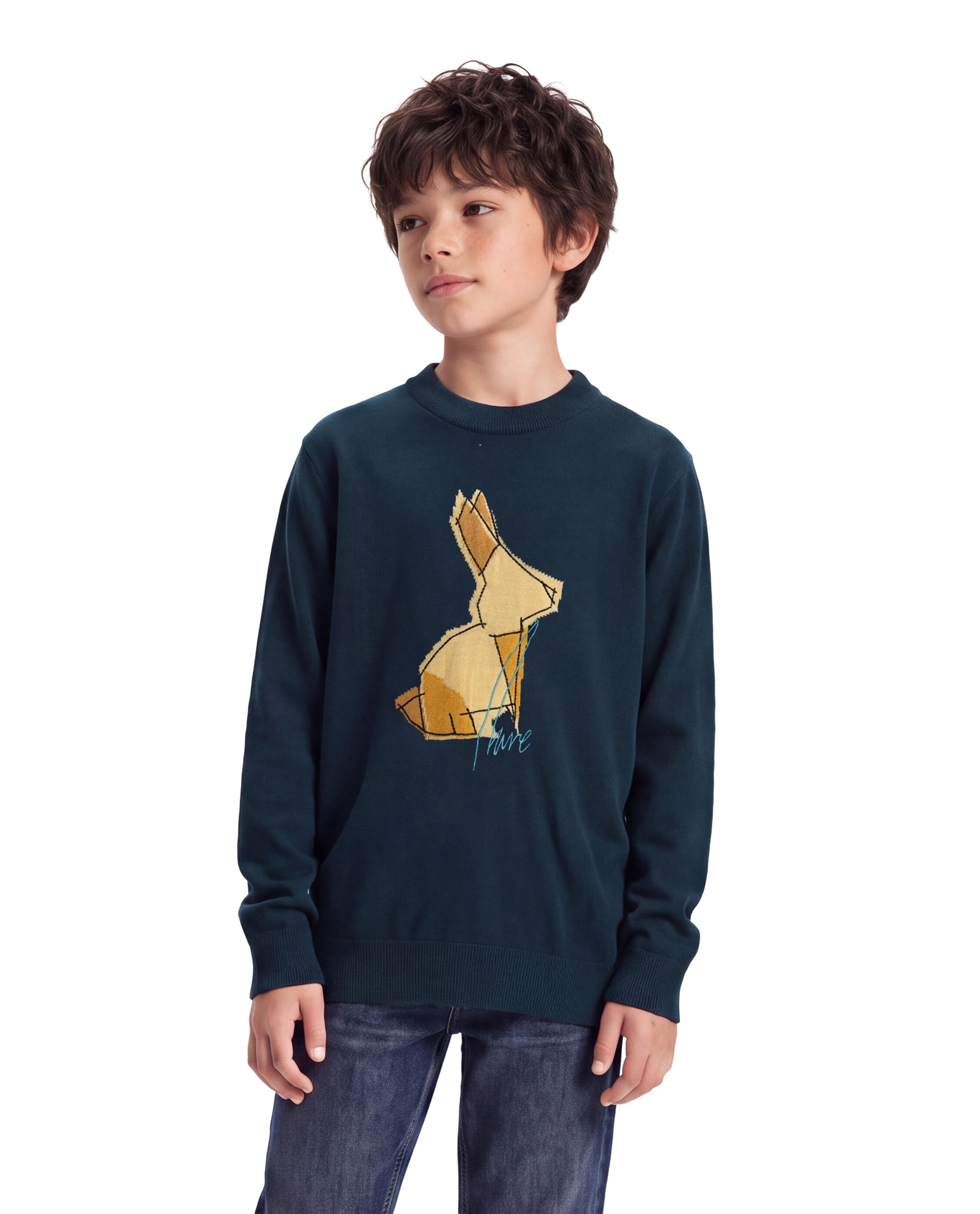 Rare Ones Kids Mipo-26 Navy Acrylic Fabric Pull-On Closure Regular Fit Graphic Print Sweater