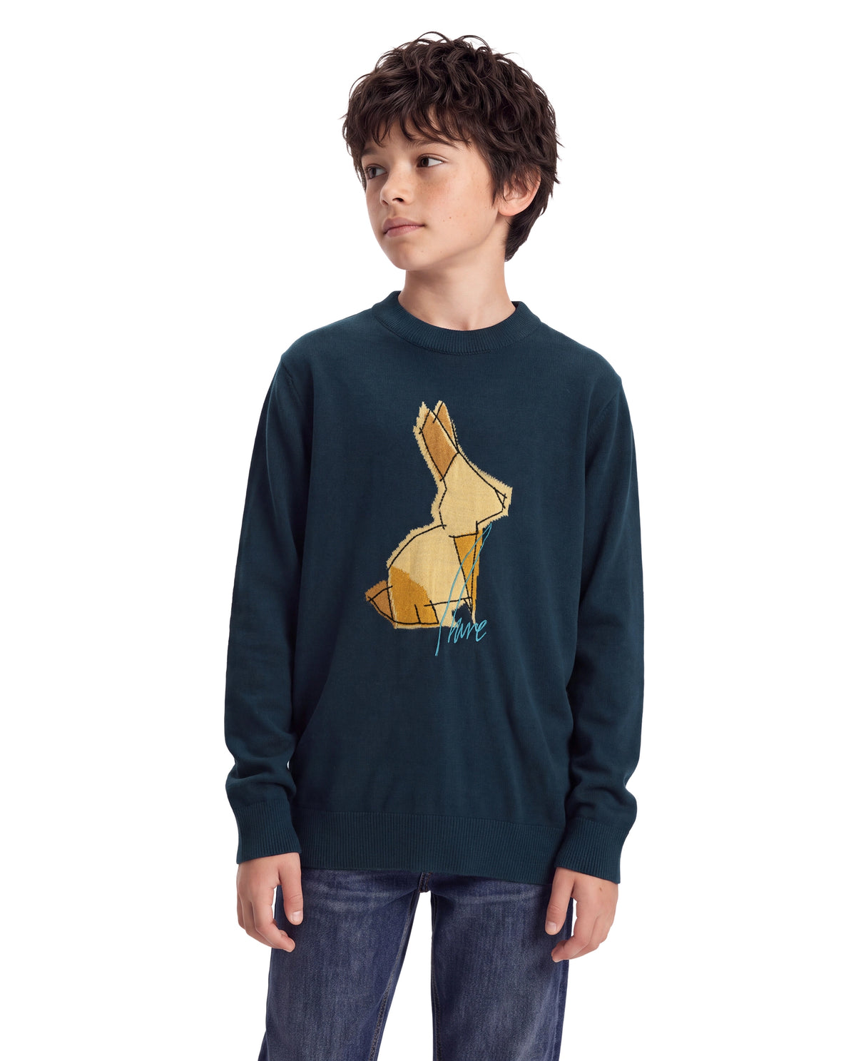 Rare Ones Kids Mipo-26 Navy Acrylic Fabric Pull-On Closure Regular Fit Graphic Print Sweater