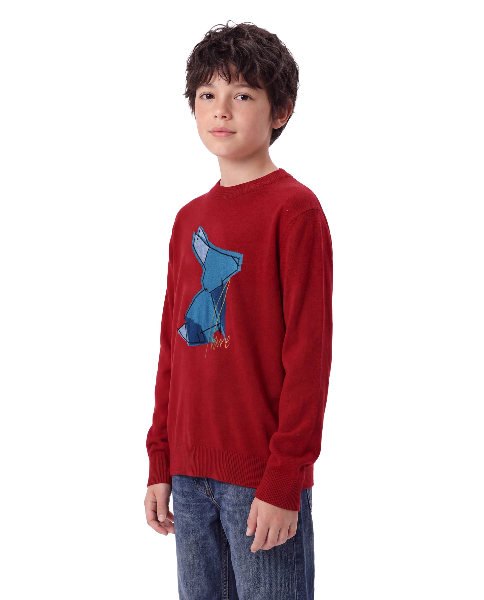 Rare Ones Kids Mipo-26 Red Acrylic Fabric Pull-On Closure Regular Fit Graphic Print Sweater