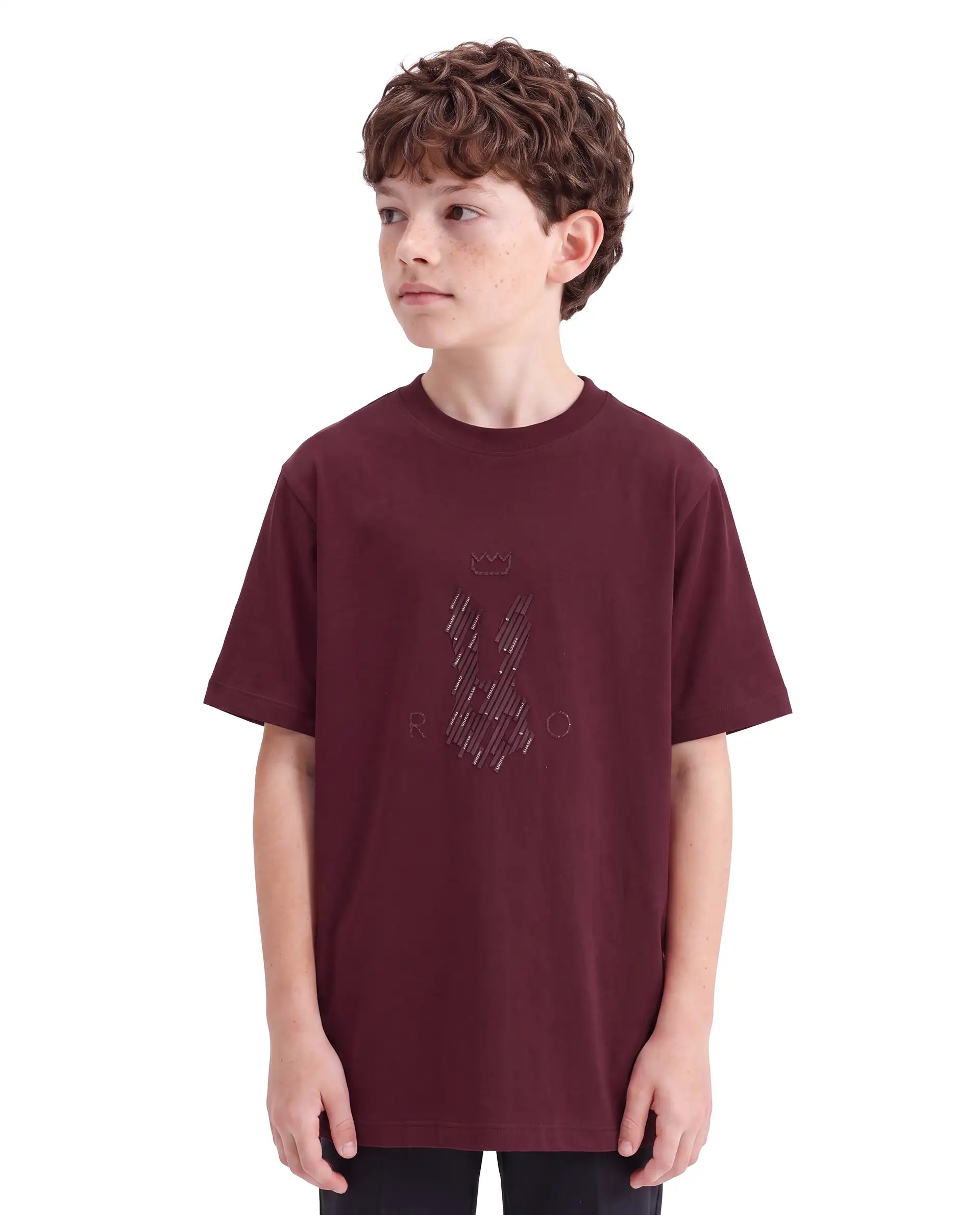 Rare Ones Kids Lupin Maroon Cotton Blend Fabric Pull-On Regular Fit Graphic Print T-Shirt