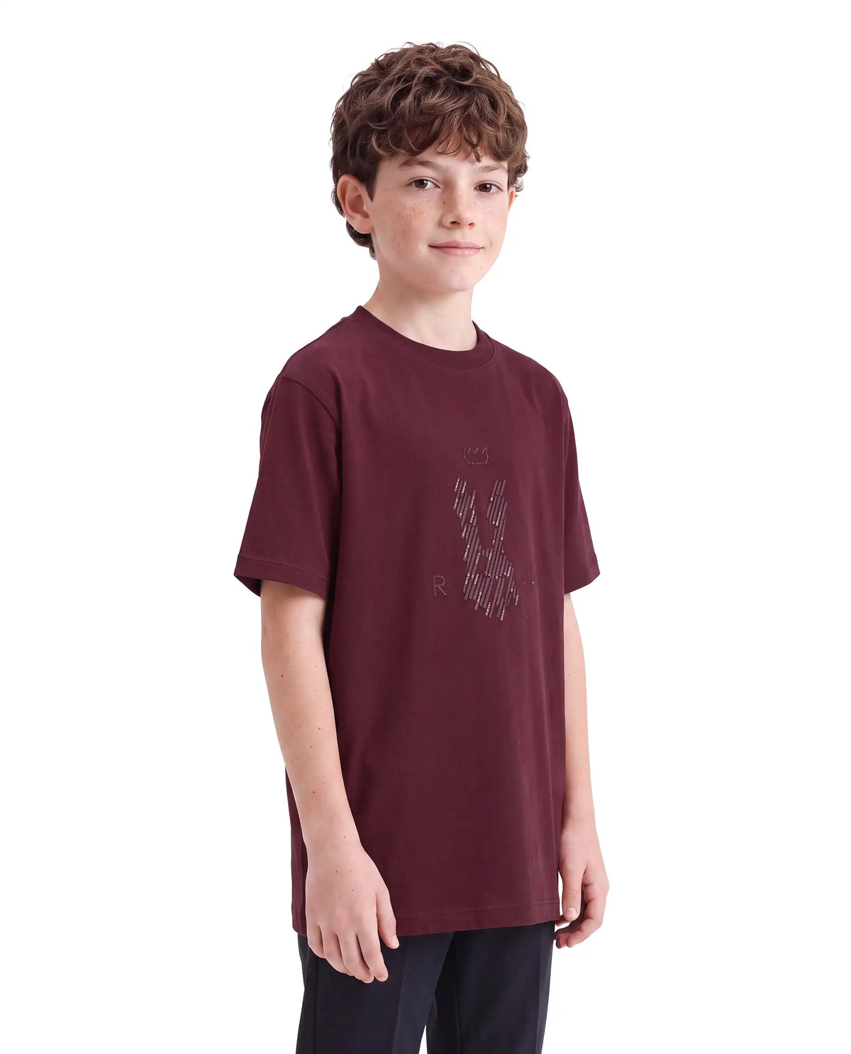 Rare Ones Kids Lupin Maroon Cotton Blend Fabric Pull-On Regular Fit Graphic Print T-Shirt