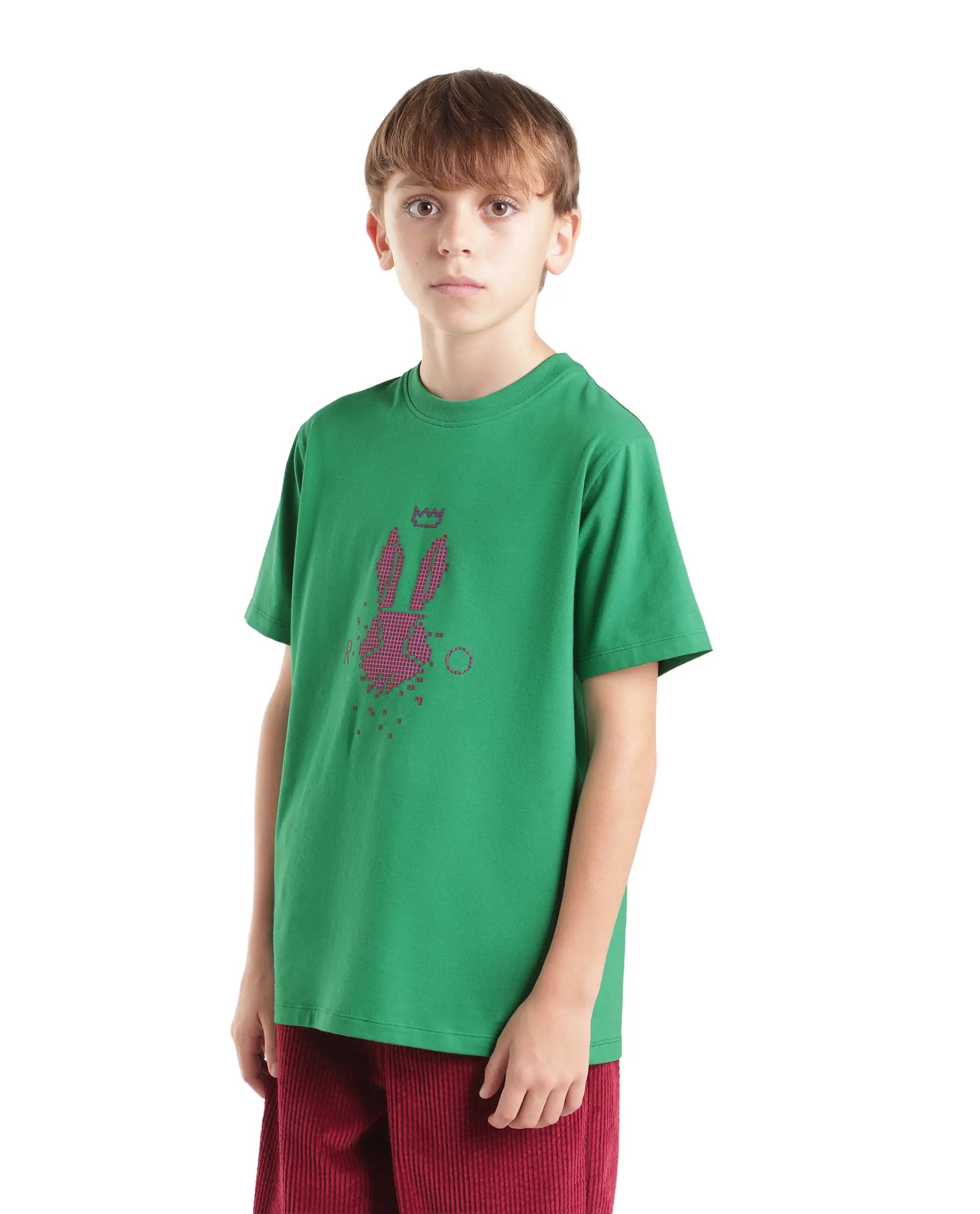 Rare Ones Kids Walko Green Cotton Blend Fabric Pull-On Regular Fit Graphic Print T-Shirt