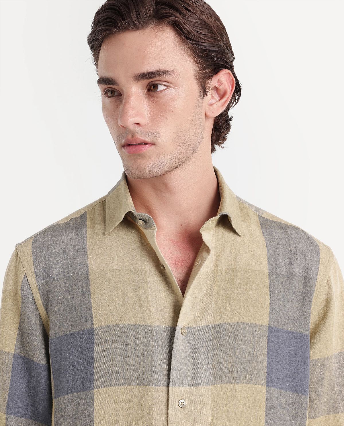 Rare Rabbit Men's Calum-A26 Light Green Linen Blend Button Regular Fit Checked Shirt