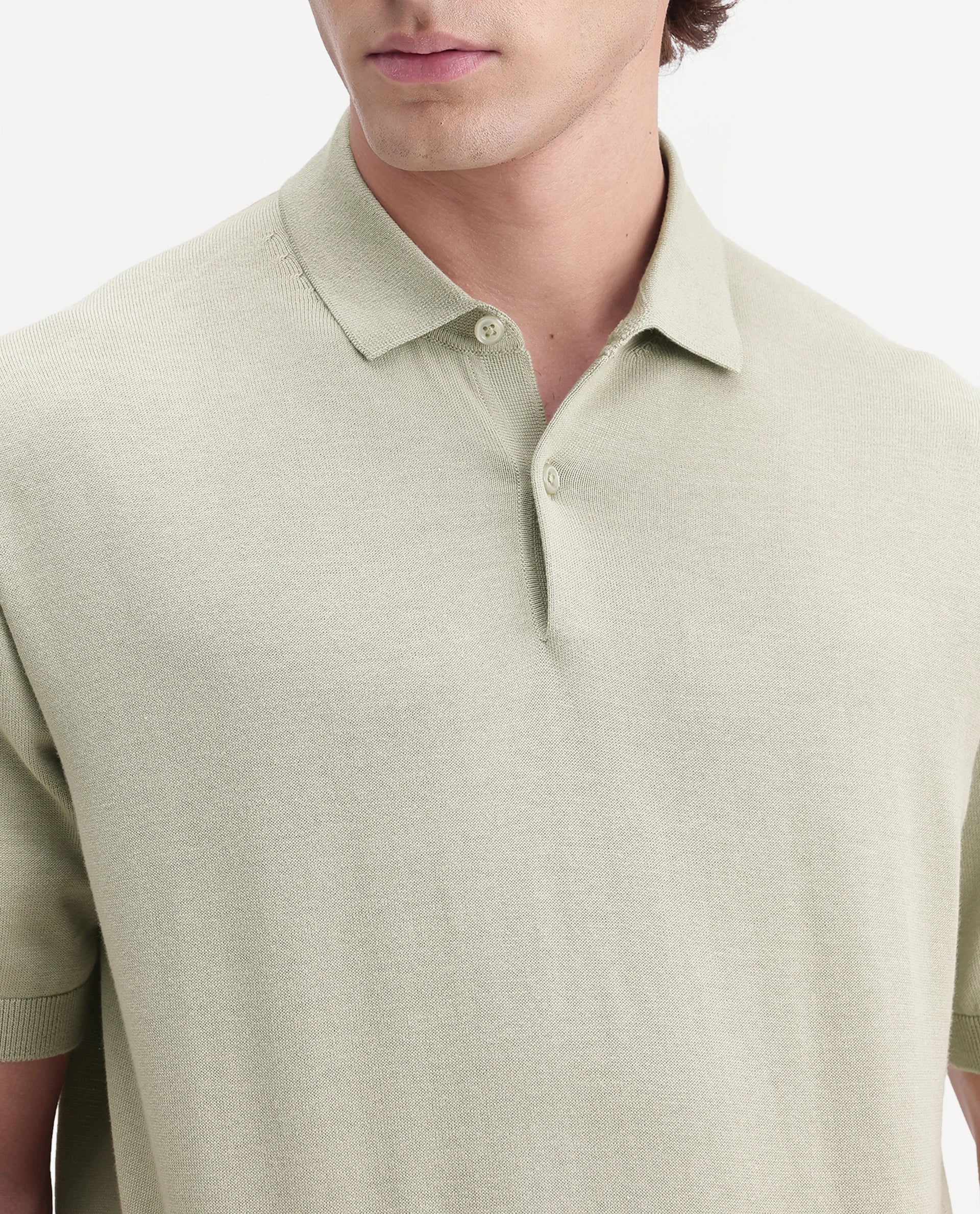 Rare Rabbit Men's Marti Dusky Green Cotton Spread Collar Regular Plain Polo