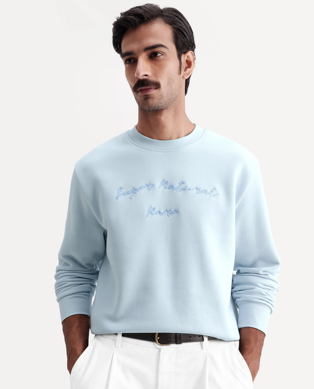 Rare Rabbit Men's Blino Light Blue Cotton Blend Crew Neck Regular Embroidered Sweatshirt - image 1