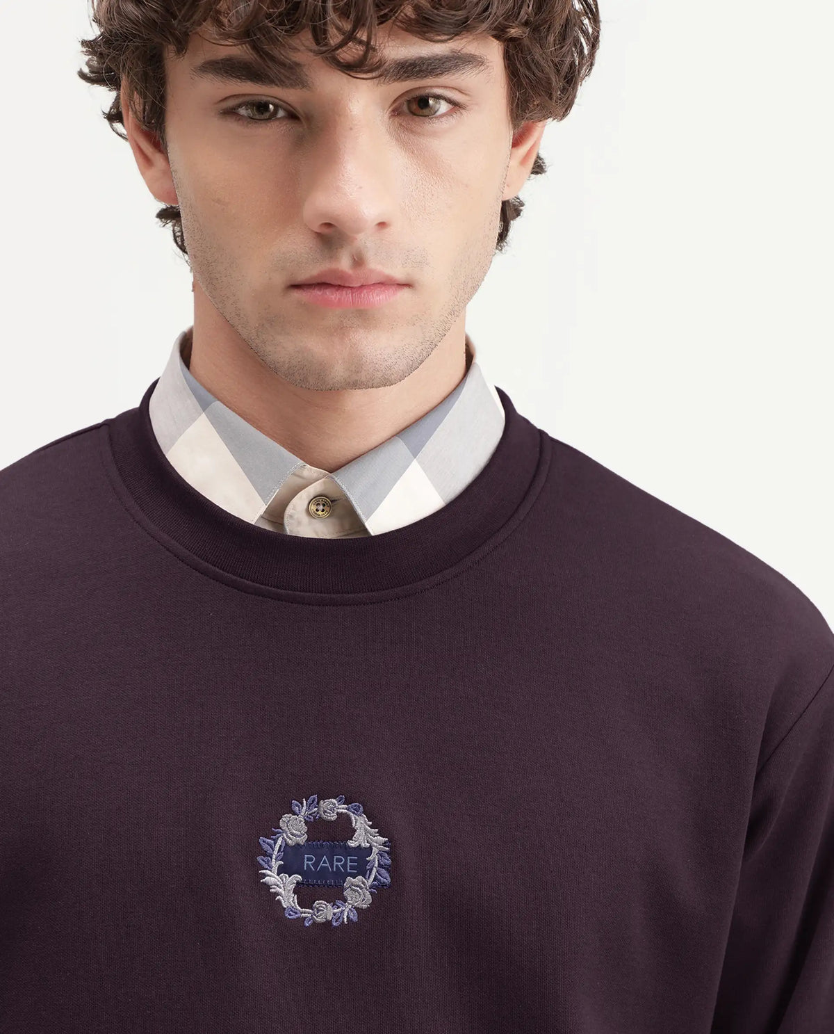 Rare Rabbit Men's Gian Dark Maroon Cotton Blend Crew Neck Regular Embroidered Sweatshirt