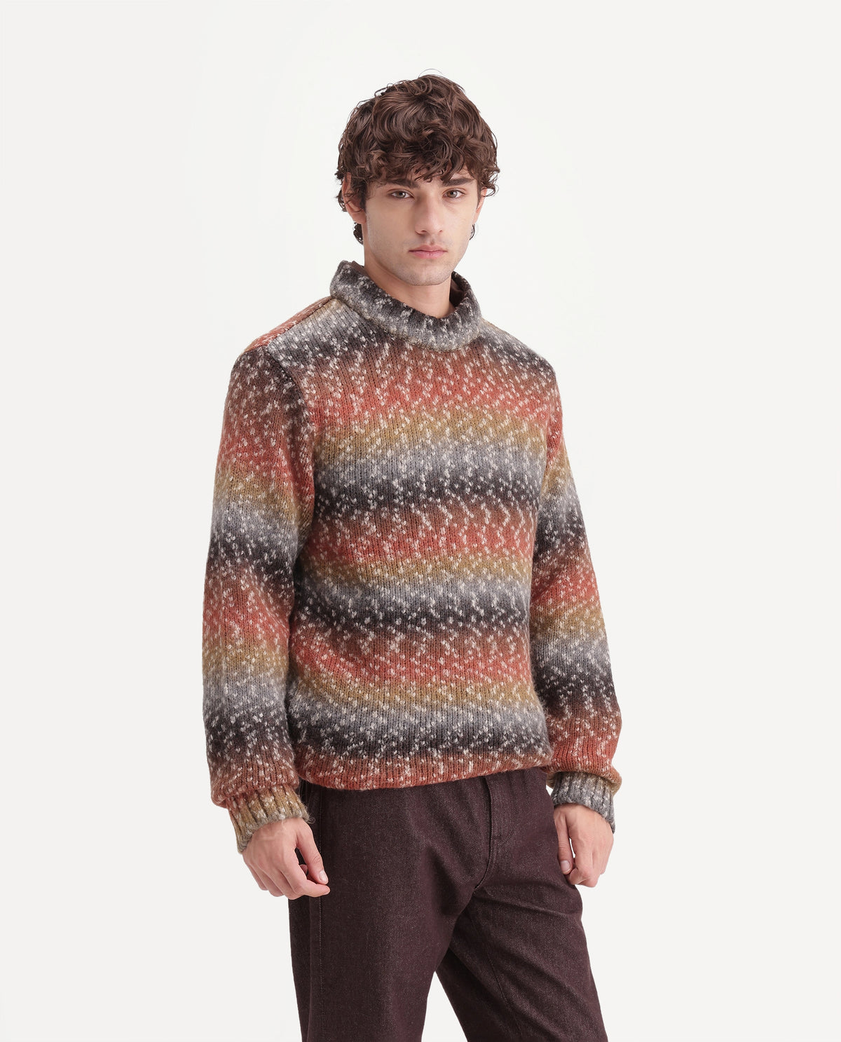 Rare Rabbit Men's Projekt Multi Acrylic Blend Crew Neck Regular Jacquard Sweater