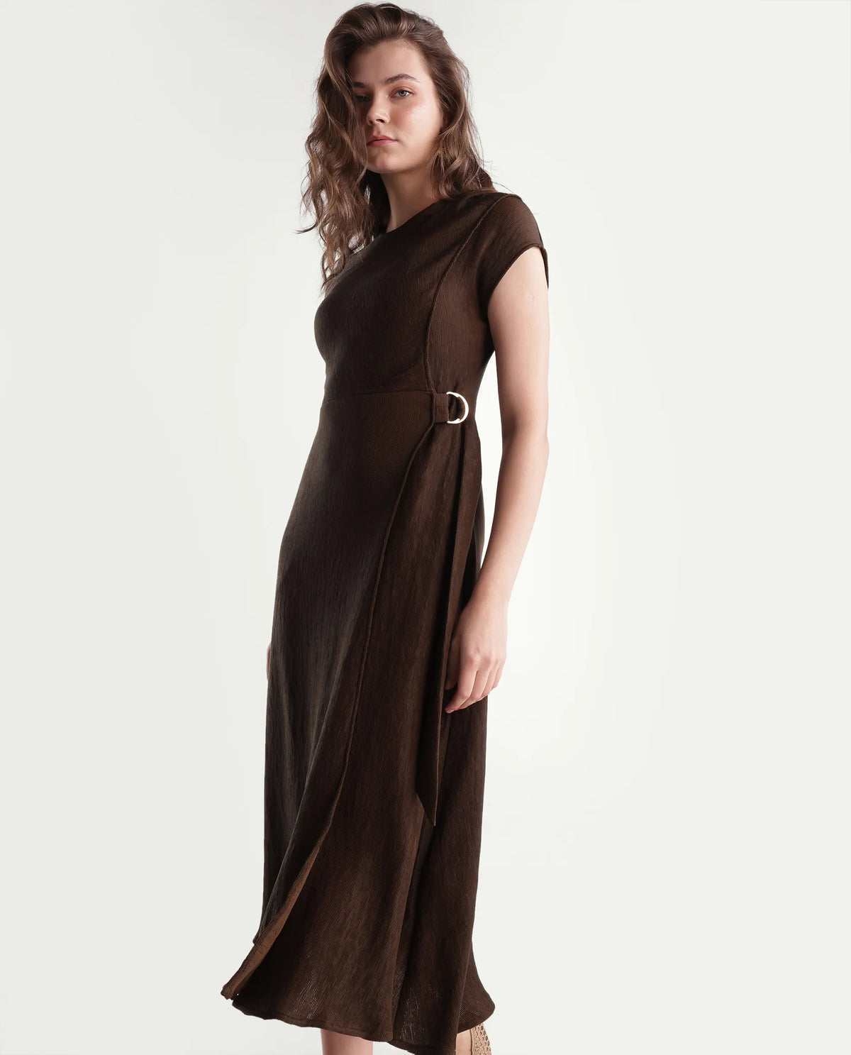 Rareism Women's Xara Dark Brown Viscose Blend Crew Neck Fit And Flare Plain Dress
