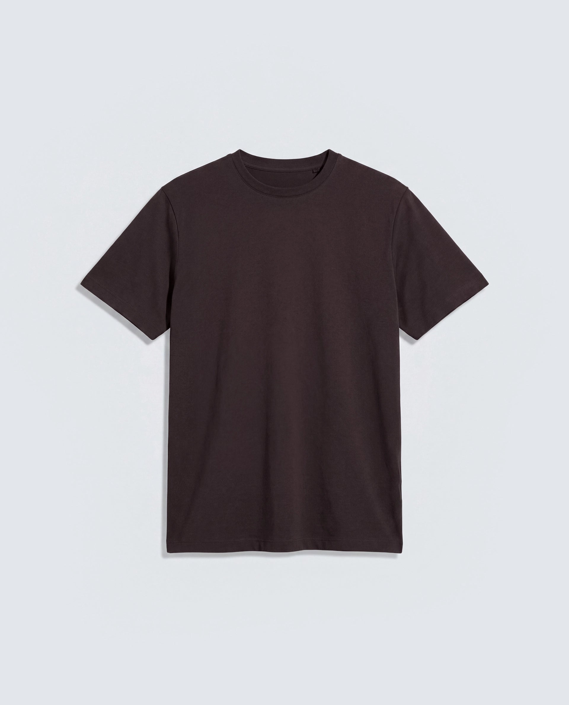 Rare Rabbit Men's Basic Rr-Corp-Arve Dark Brown Cotton Crew Neck Regular Plain T-Shirt