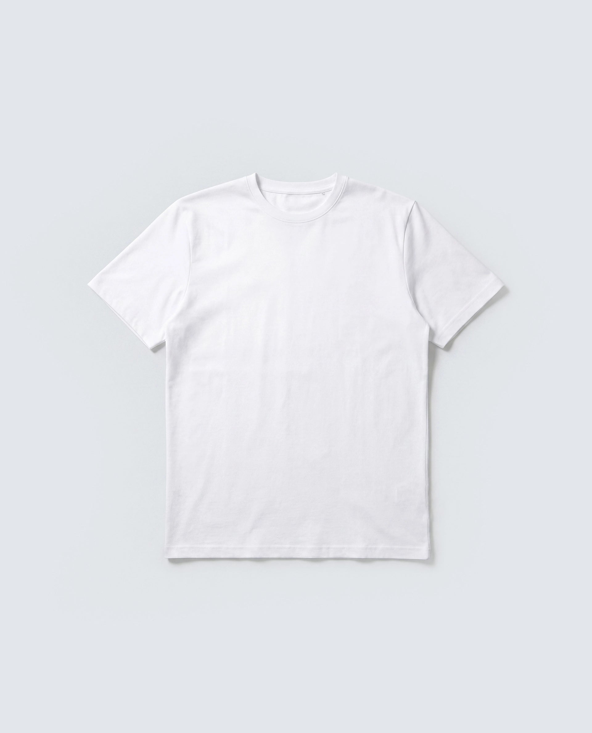 Rare Rabbit Men's Basic Rr-Corp-Arve White Cotton Crew Neck Regular Plain T-Shirt