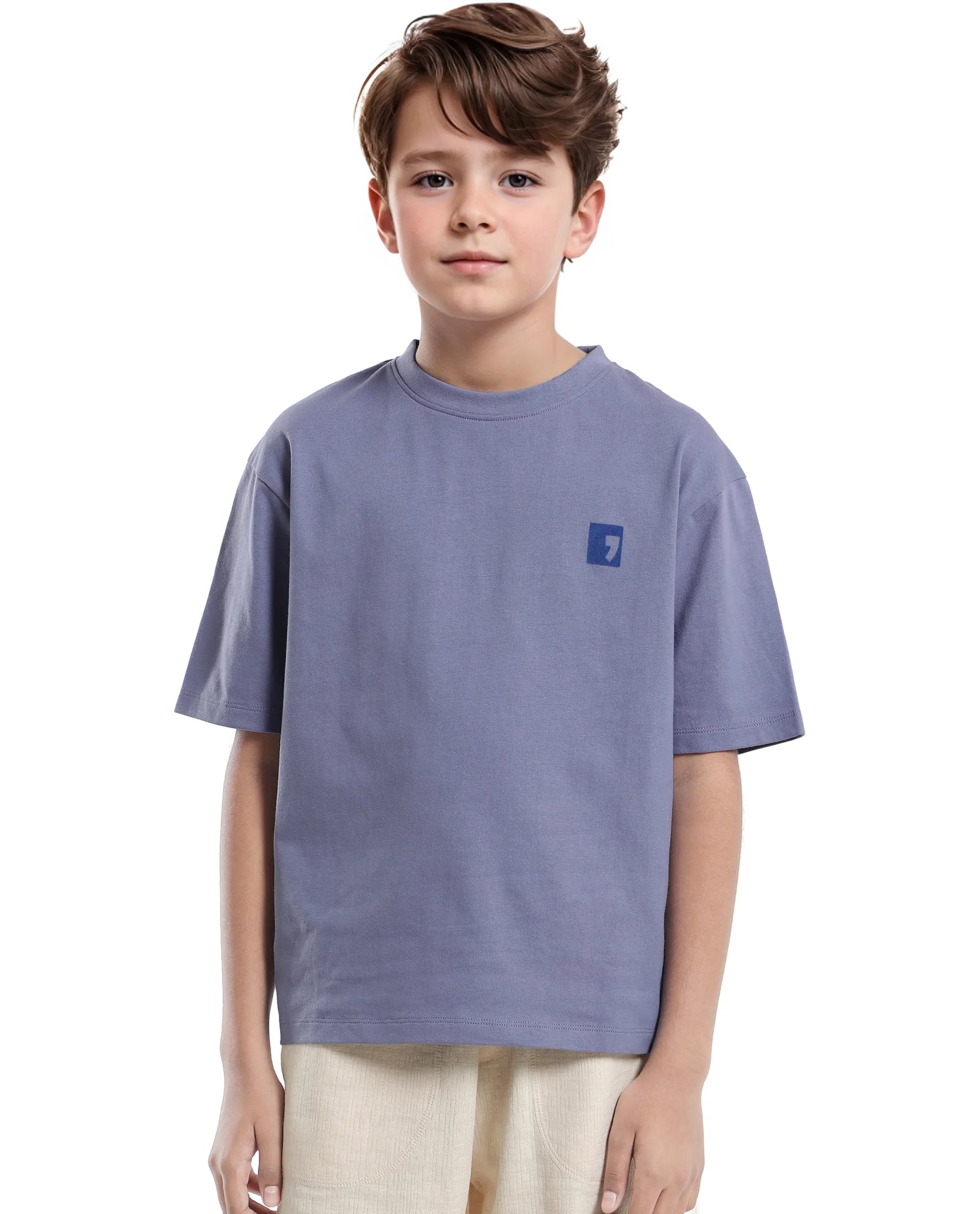 Rare Ones Kids Sudo Light Purple Cotton Graphic Printed Slip-On Oversized Fit T-Shirt