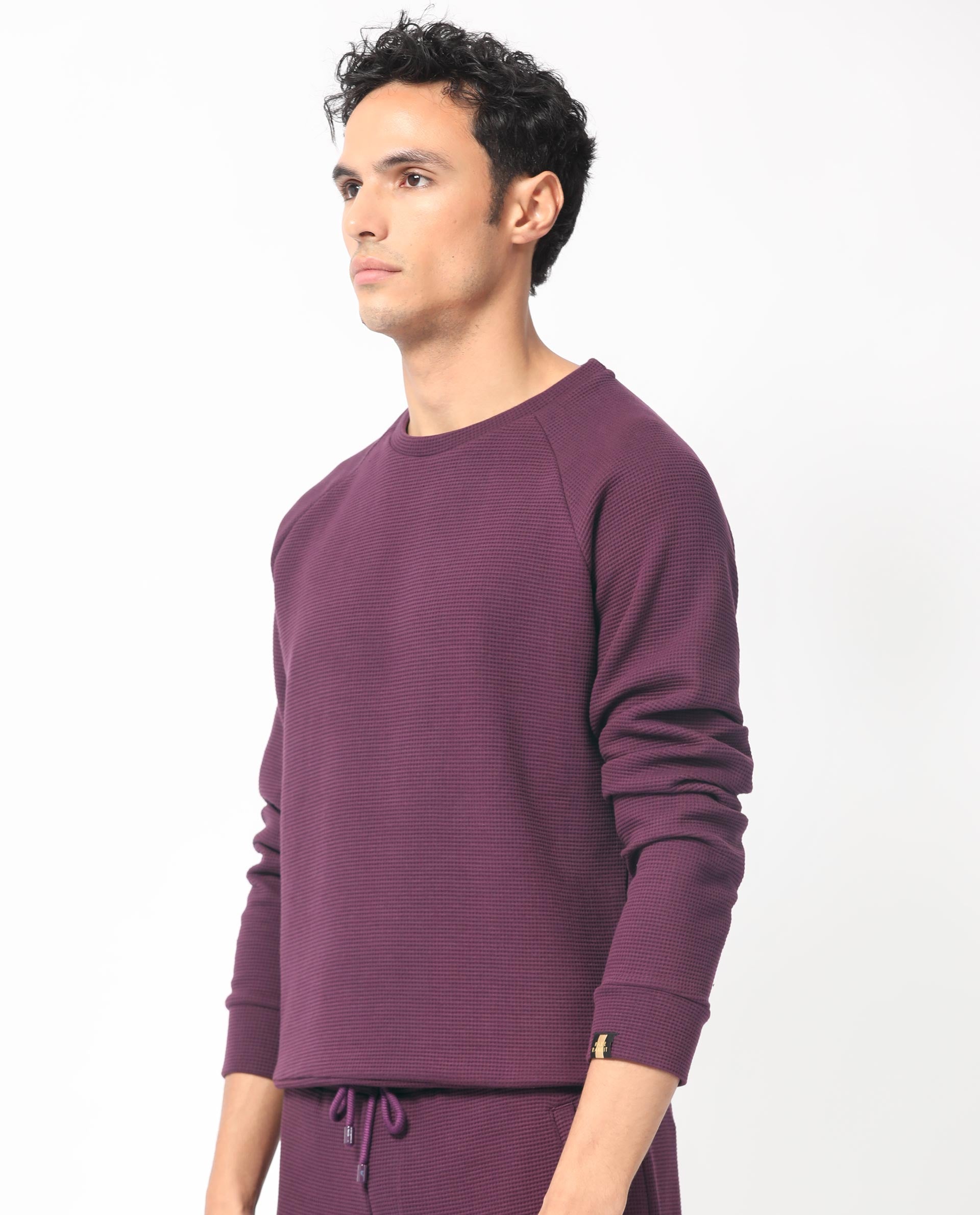 Rare Rabbit Mens Sven Purple Sweatshirt Cotton Polyester Fabric Round Neck Knitted Full Sleeves Comfortable Fit