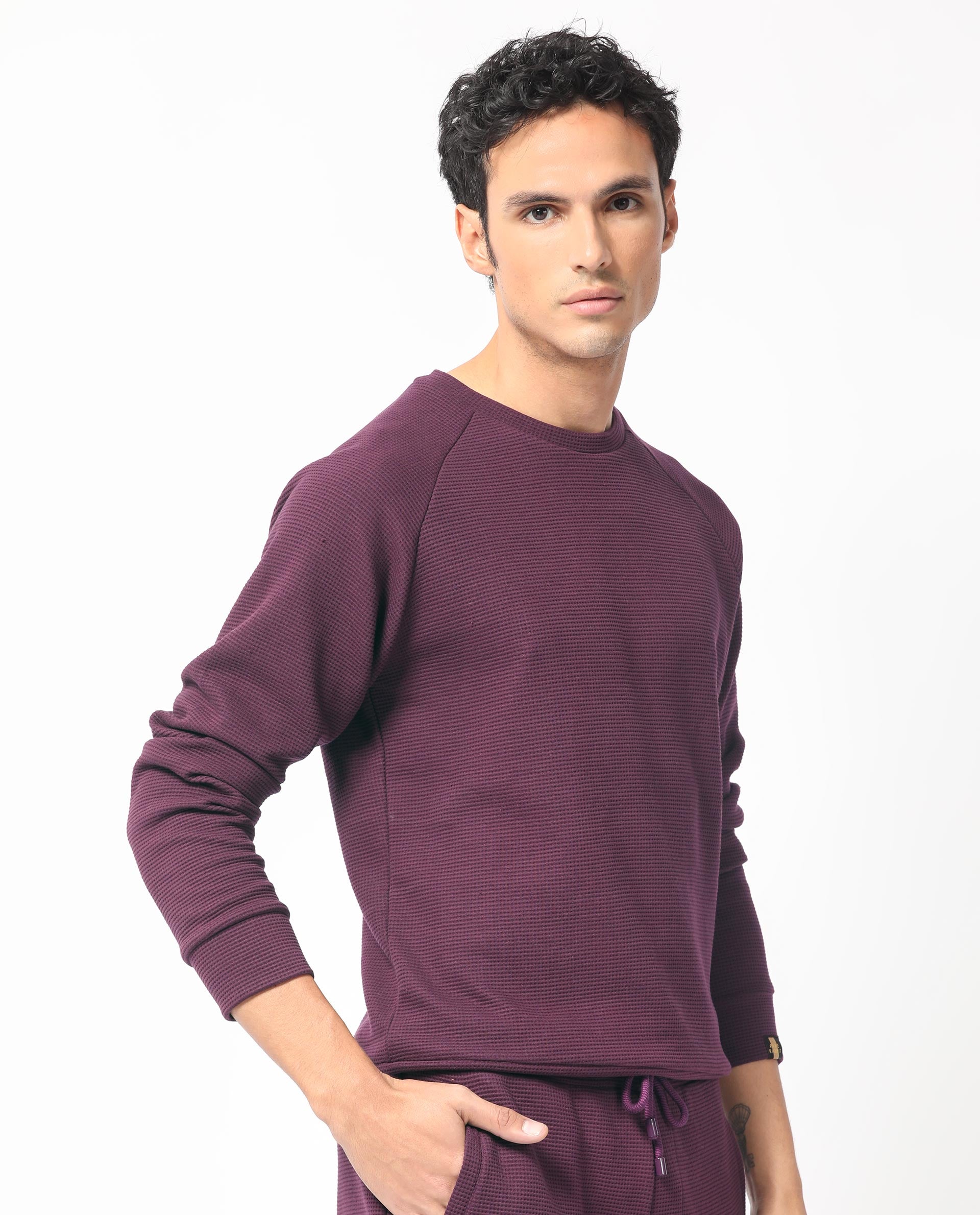 Rare Rabbit Mens Sven Purple Sweatshirt Cotton Polyester Fabric Round Neck Knitted Full Sleeves Comfortable Fit