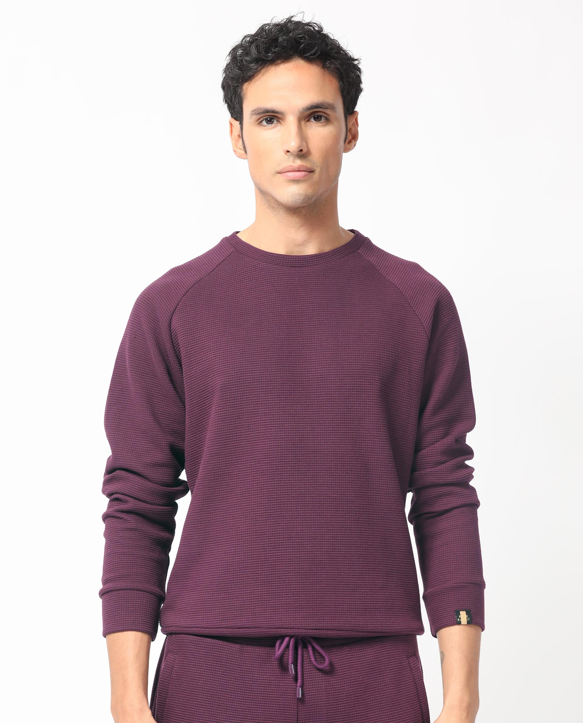 Rare Rabbit Mens Sven Purple Sweatshirt Cotton Polyester Fabric Round Neck Knitted Full Sleeves Comfortable Fit