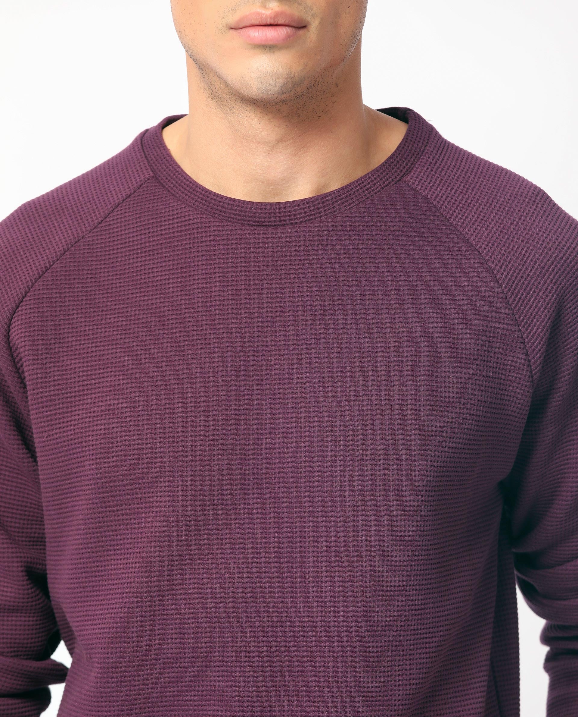 Rare Rabbit Mens Sven Purple Sweatshirt Cotton Polyester Fabric Round Neck Knitted Full Sleeves Comfortable Fit