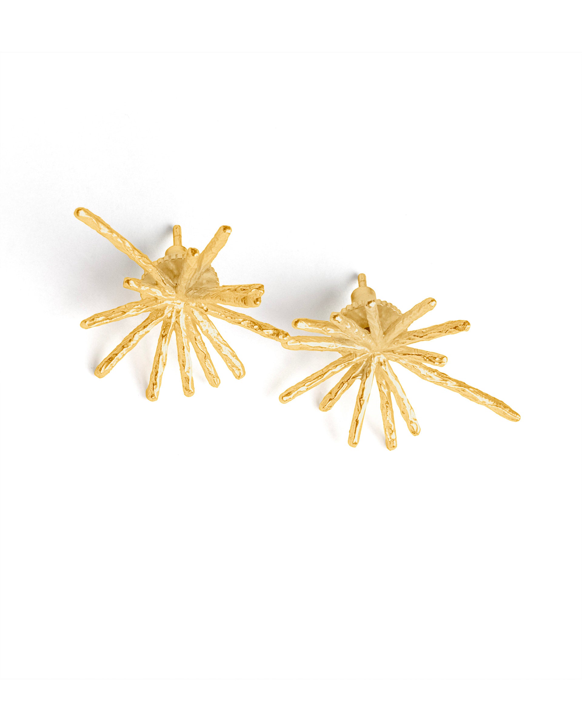 Rareism Women Spark Gold Earring