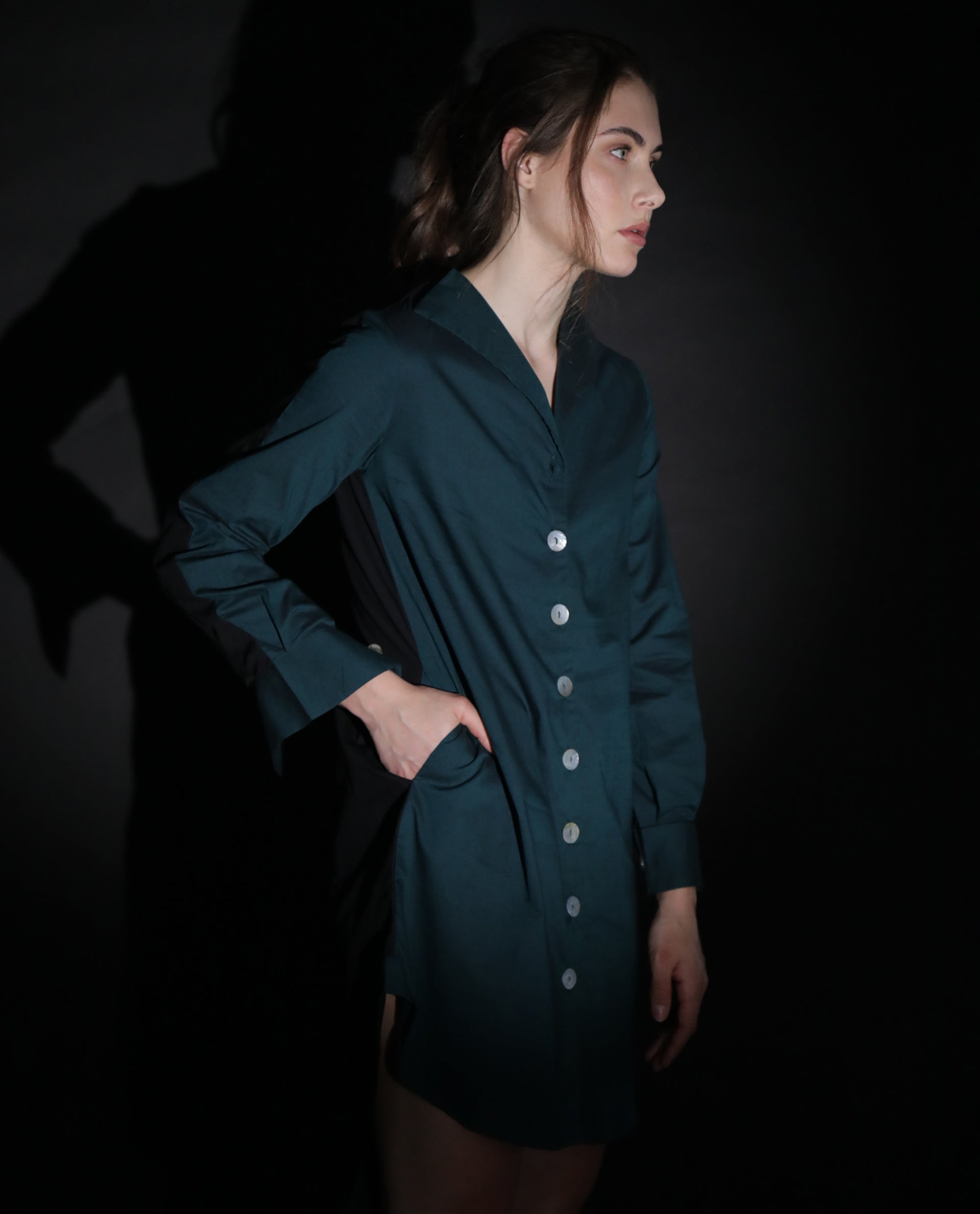 Rareism Women Tally Petrol Overlap Lapel Collar Full Sleeves Front Button Placket Pocket Asymmetrical Knee Length Dress