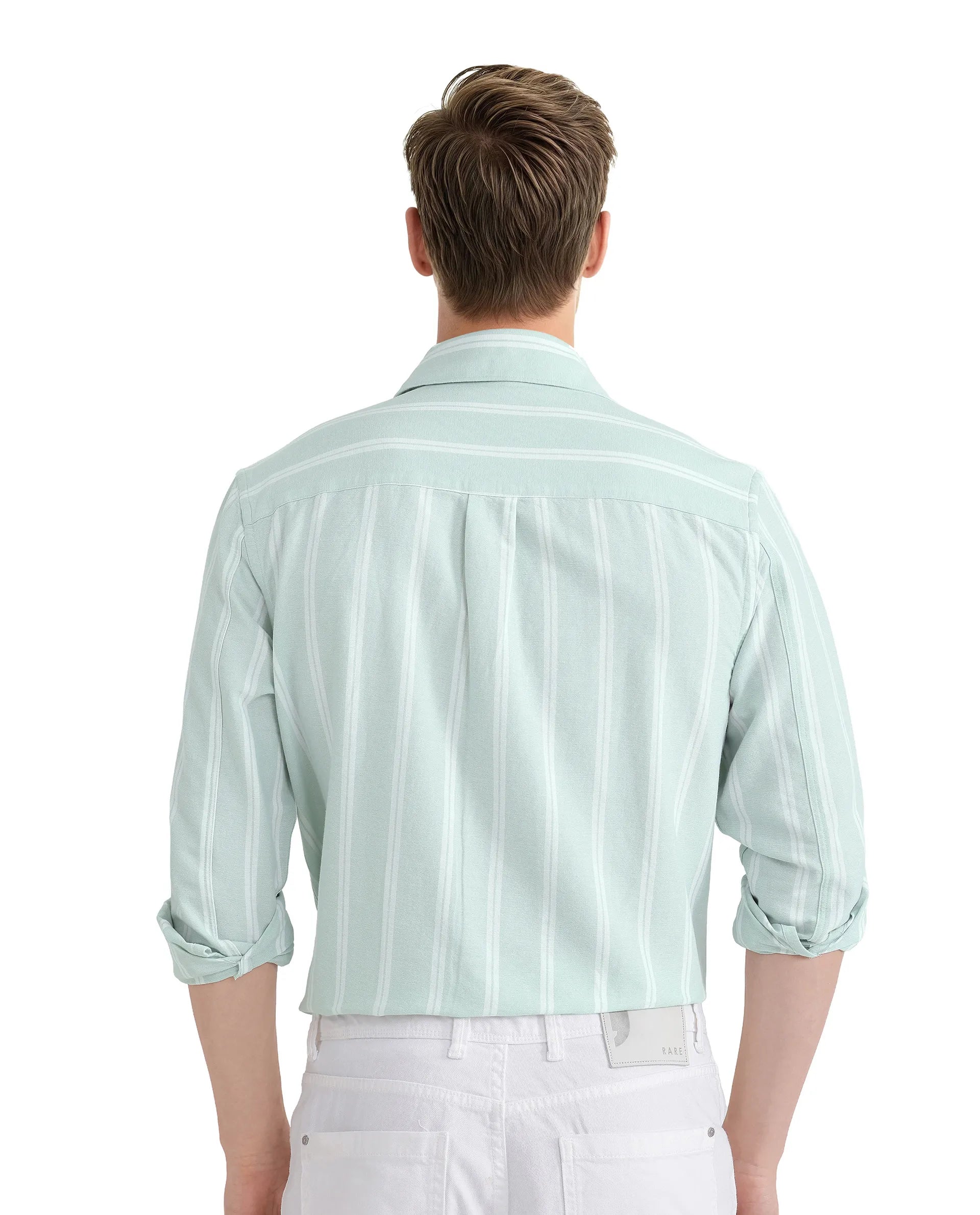 Rare Rabbit Men's Ticko Pastel Green Cotton Fabric Full Sleeve Regular Collared Button Closure Striped Shirt