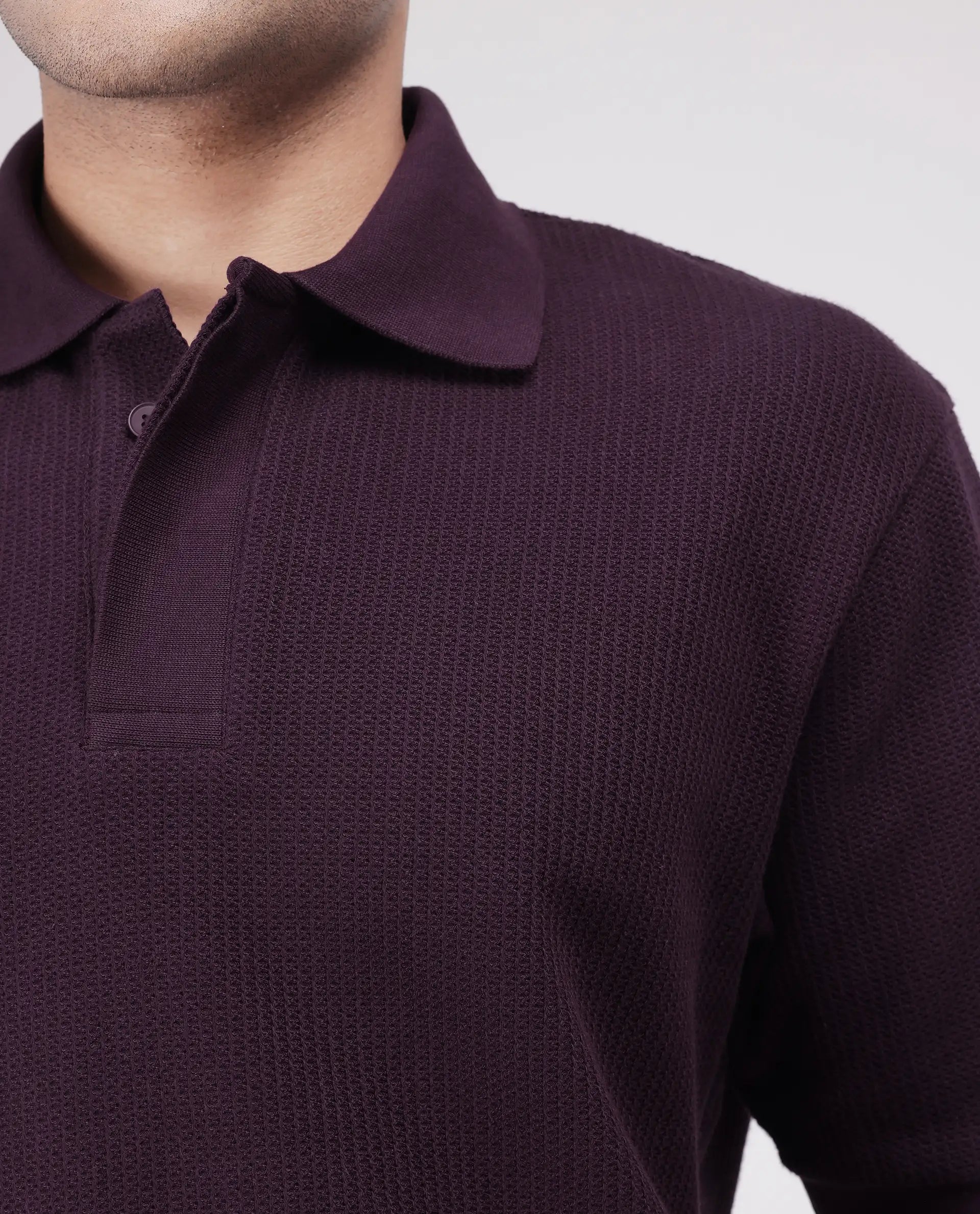 Rare Rabbit Men's Tom Dark Purple Cotton Fabric Half Sleeve Spread Collar Oversized Fit Textured Polo
