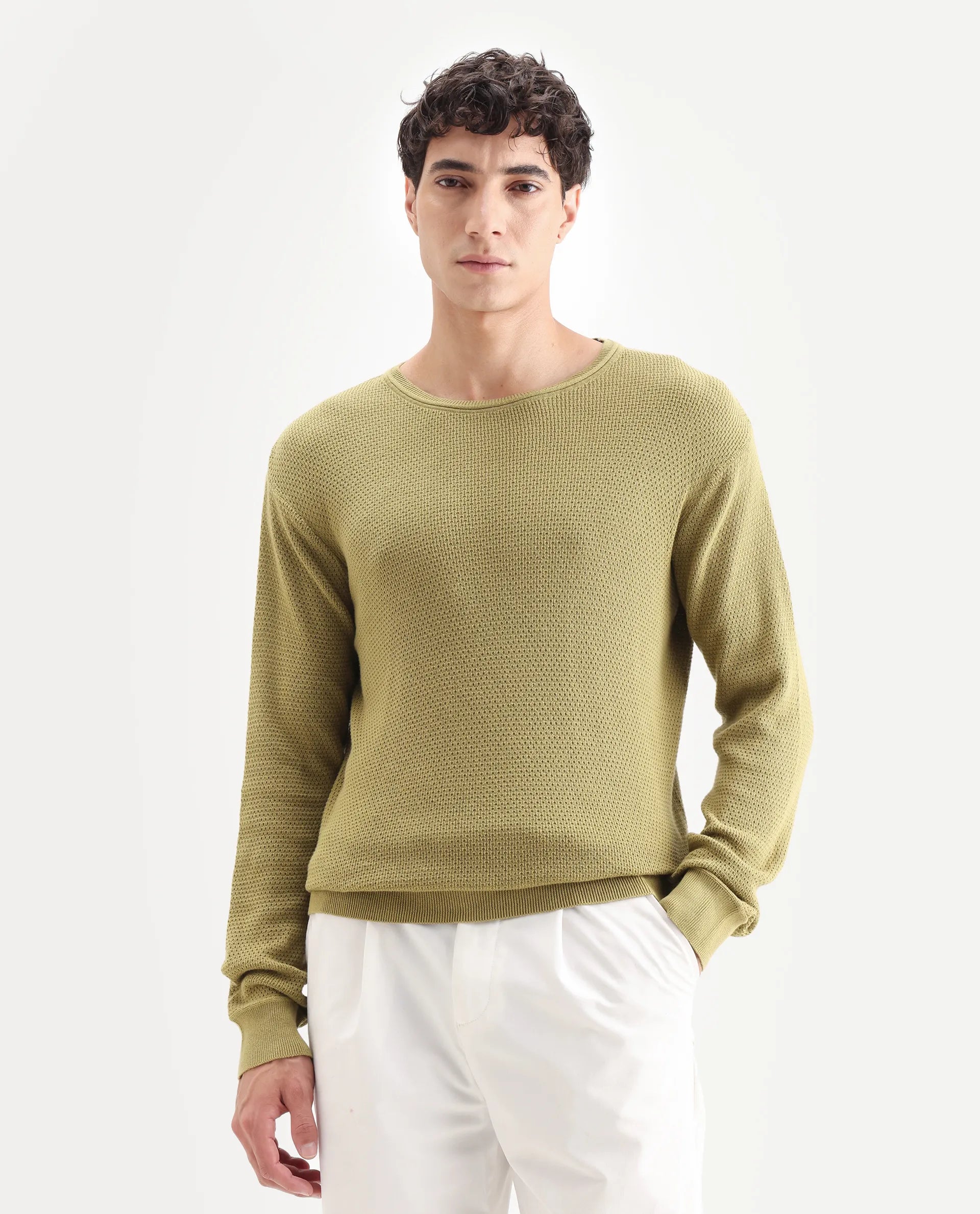 Rare Rabbit Men's Torino Green Cotton Plain Regular Fit Full Sleeve Crew Neck Sweater